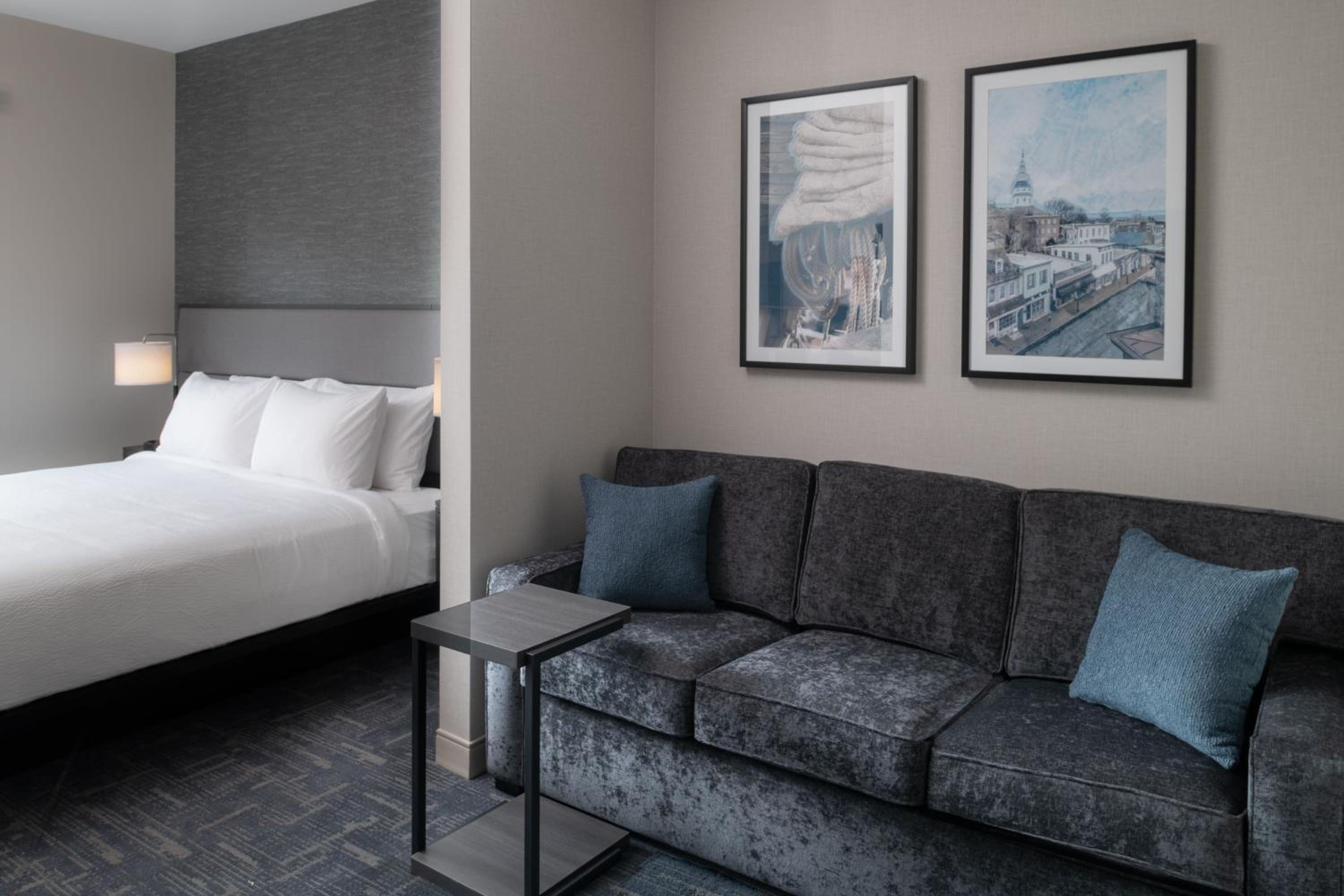 One-Bedroom King Suite with Sofa Bed  - Photo 13