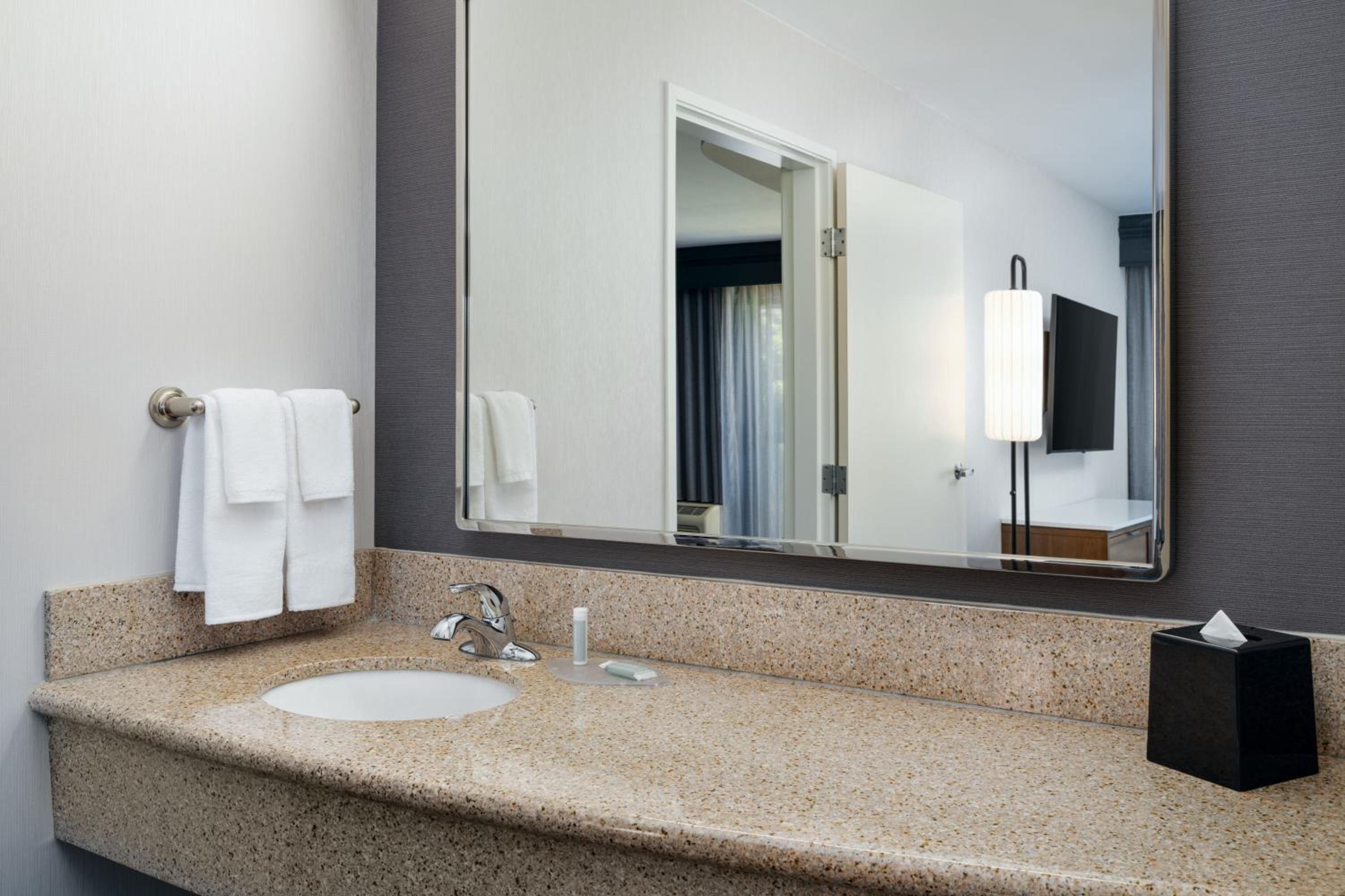 King Suite with Sofa Bed - Photo 11