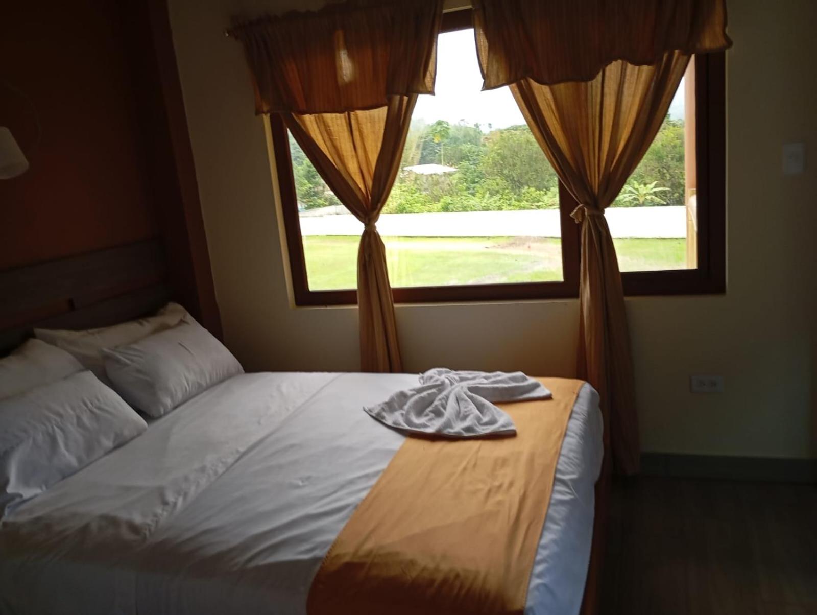 Twin Room photo 2