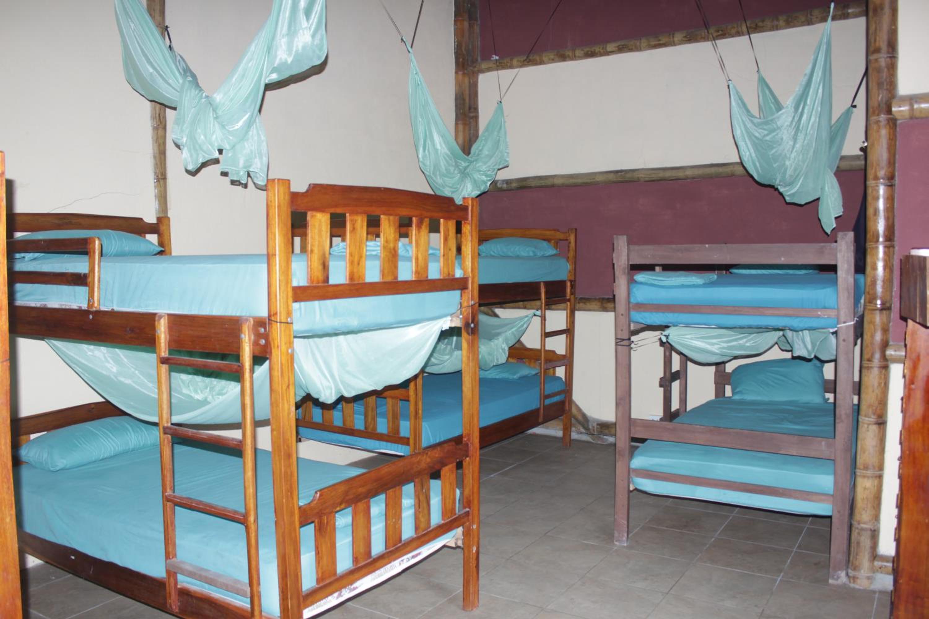 Bed in 6-Bed Dormitory Room photo 1