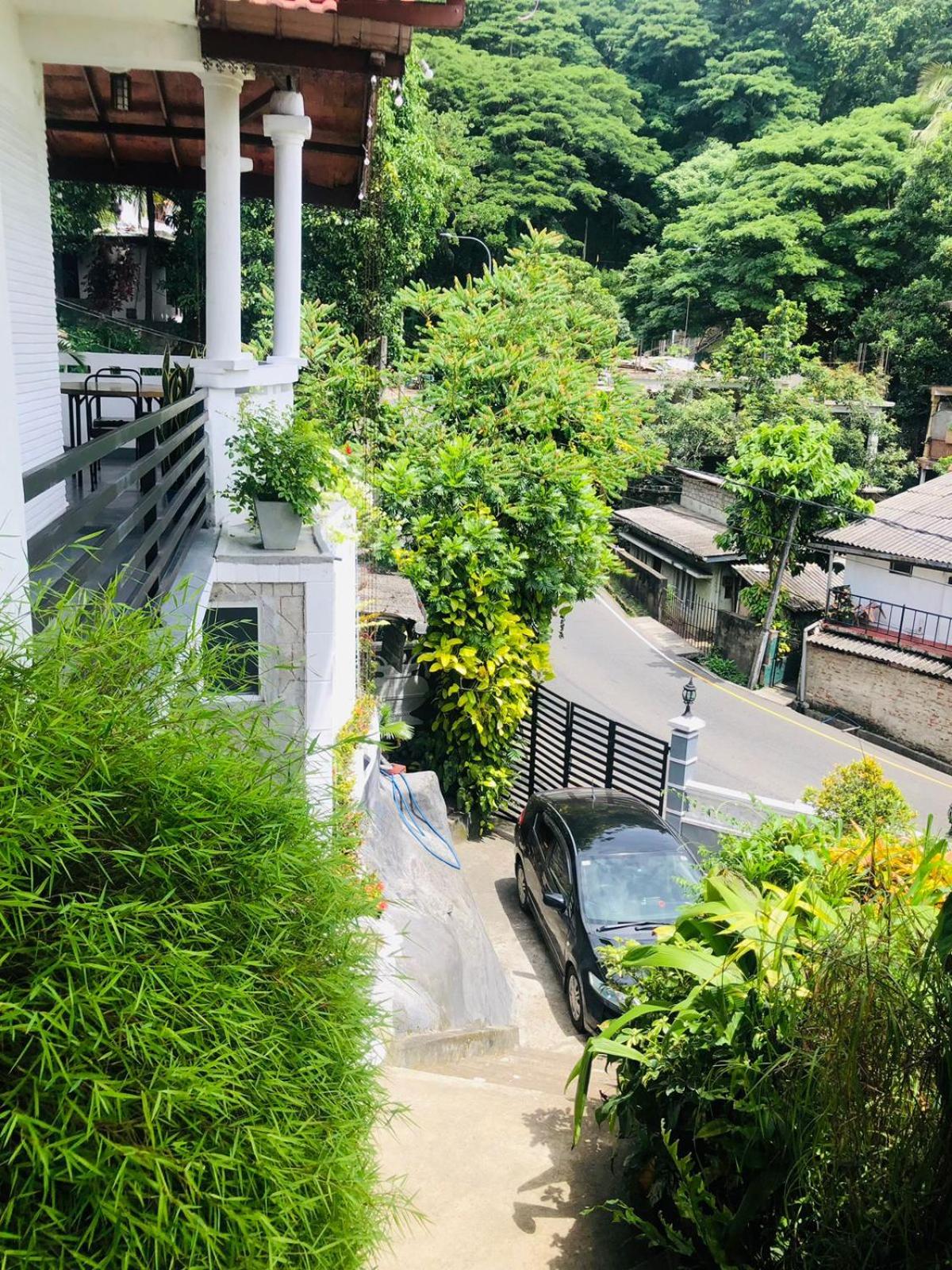 Double Room with Balcony photo 3