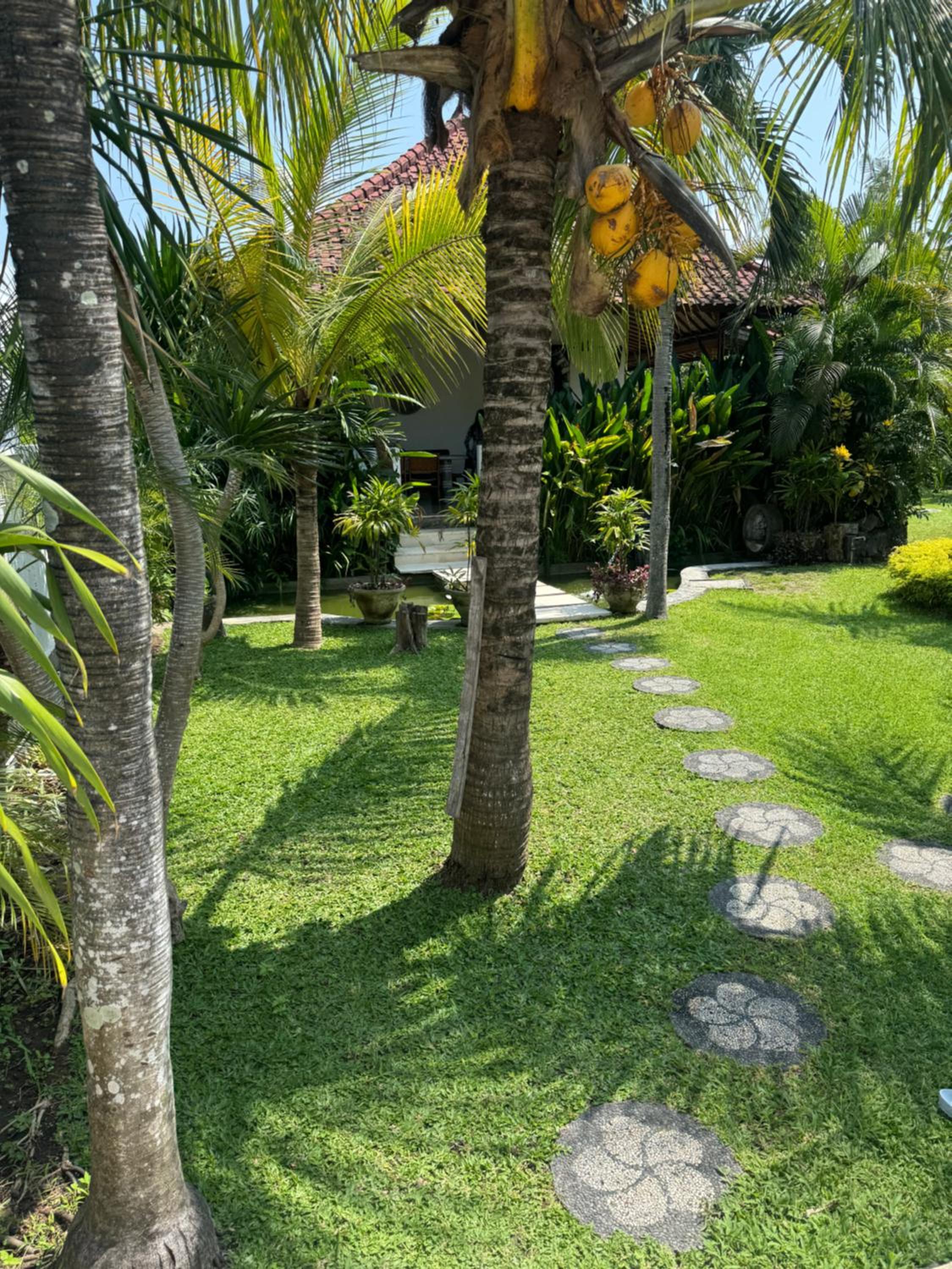 Villa with Garden View photo 3