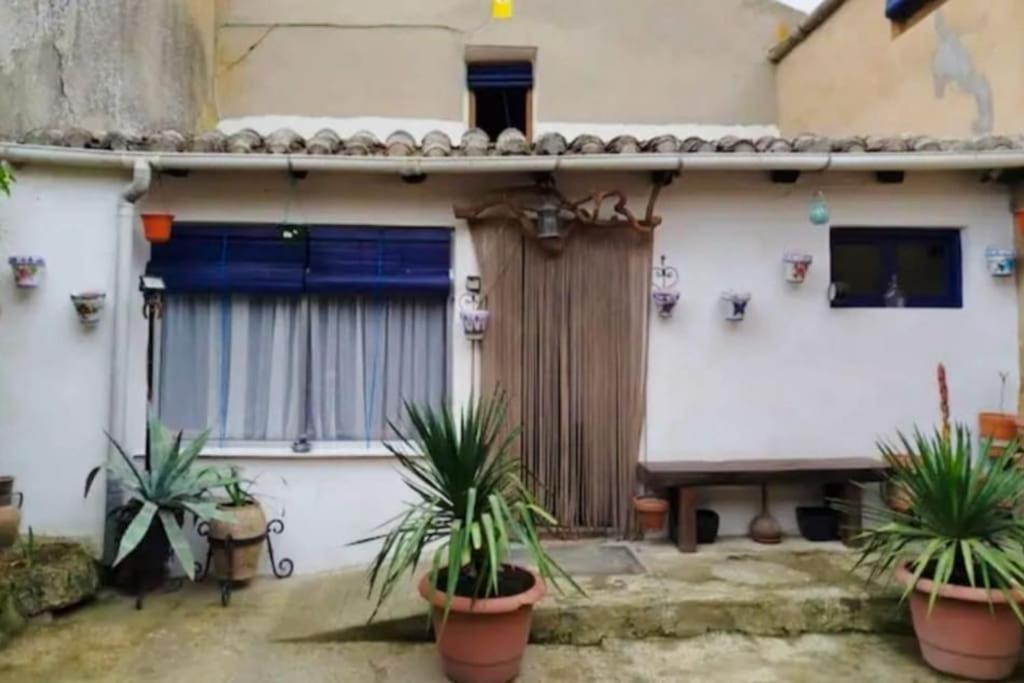 One-Bedroom House photo 2