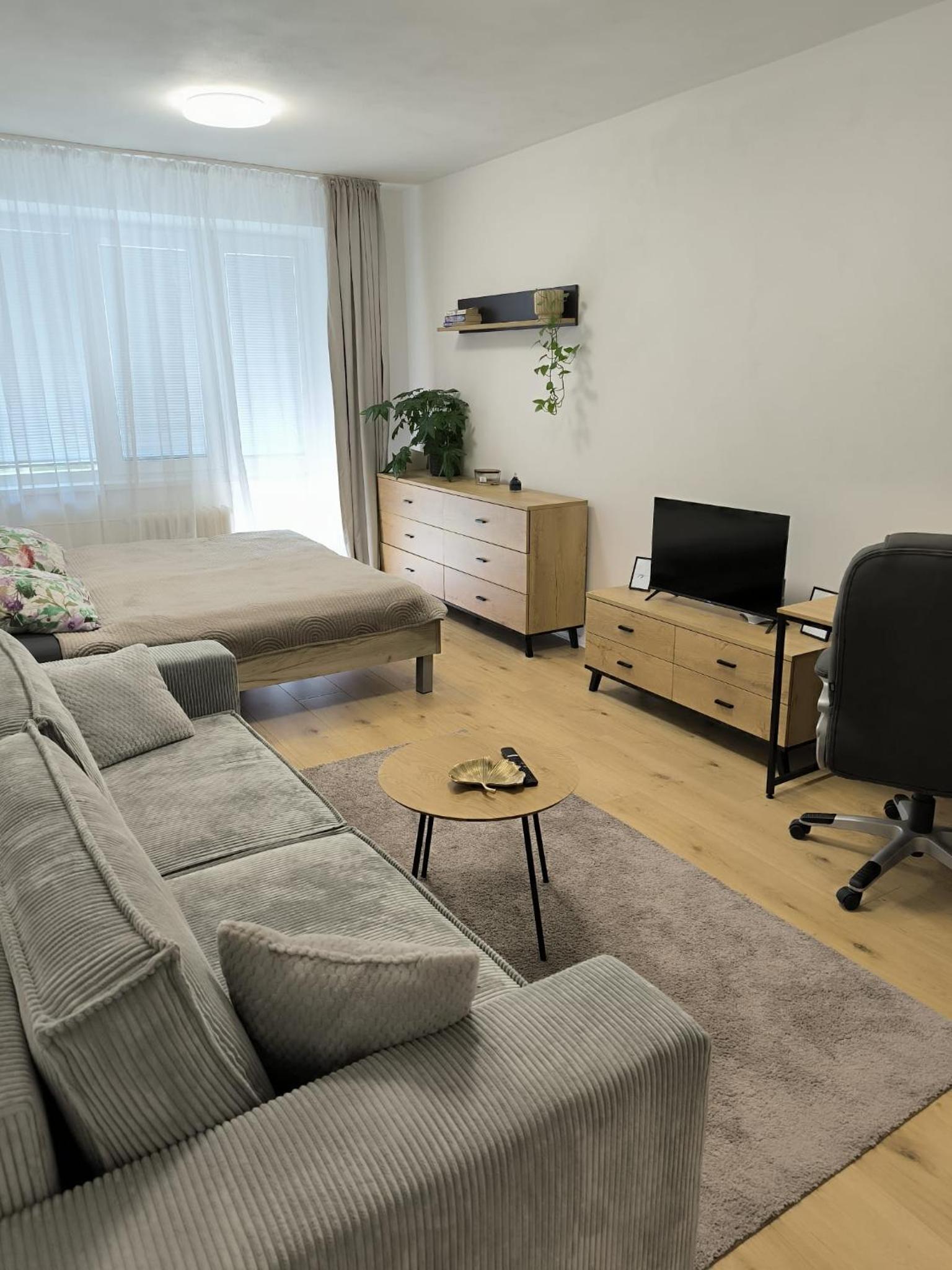 One-Bedroom Apartment photo 1