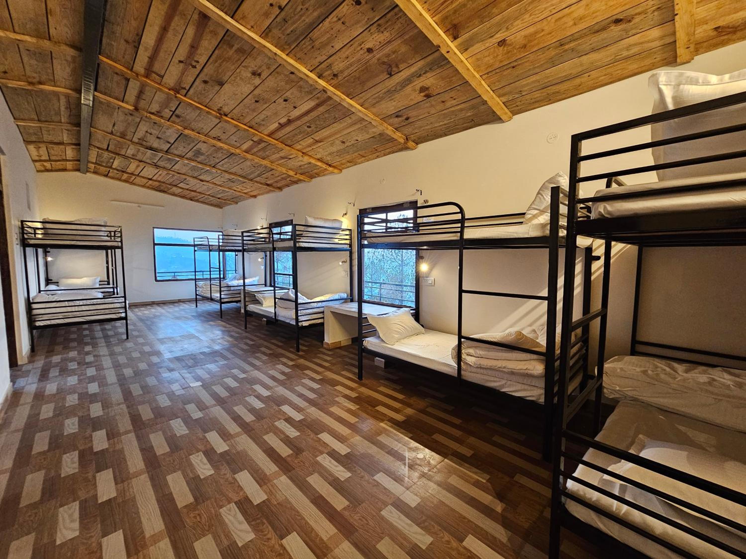 Bunk Bed In Mixed Dormitory Room photo 3