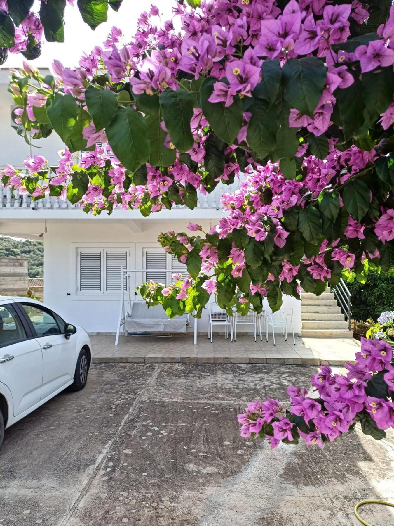 Apartment with Garden View