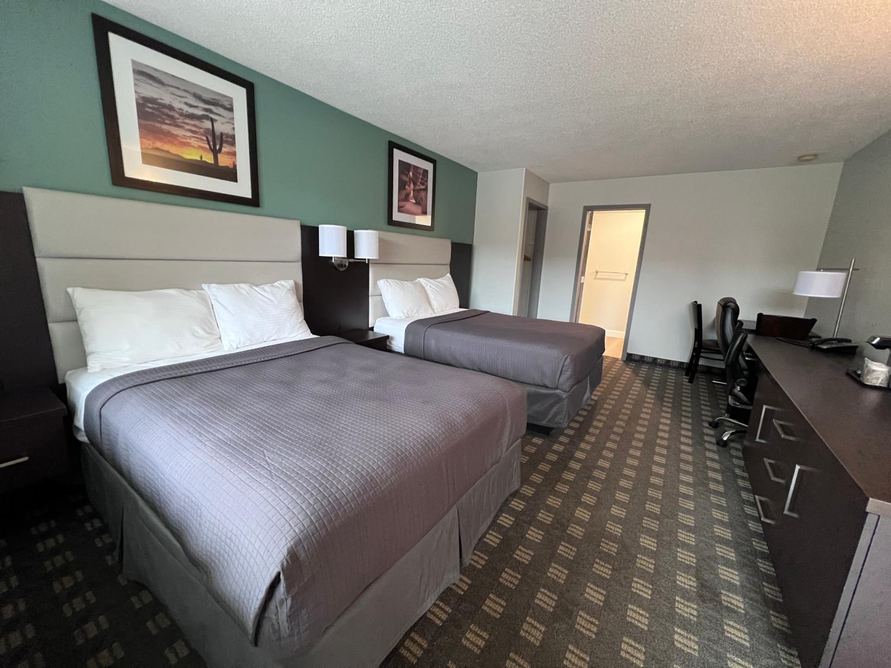 Deluxe Double Room photo 3