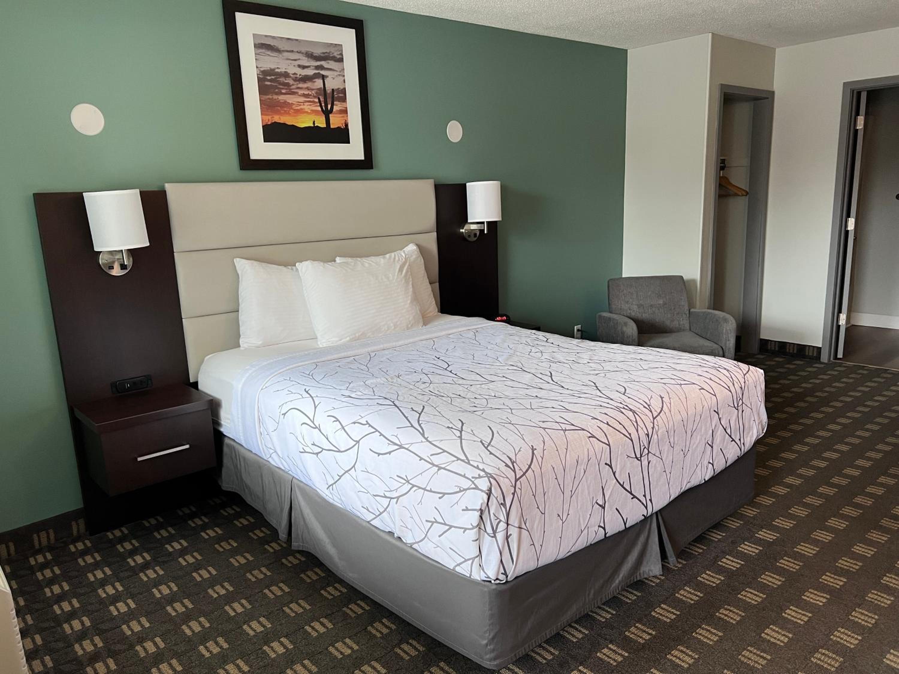 Queen Room photo 2