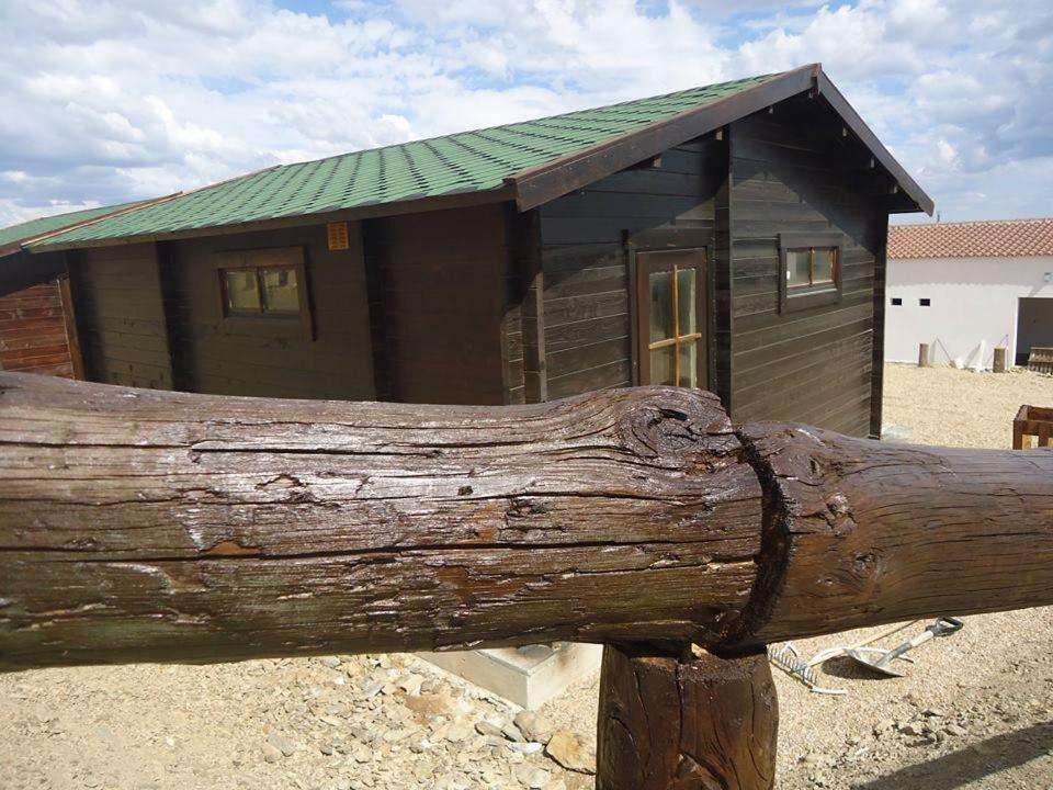 Bungalow photo 2