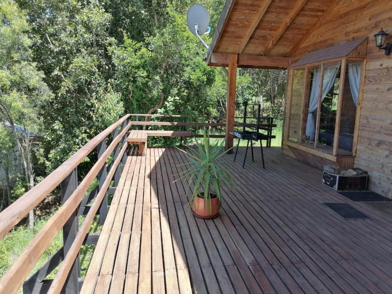 Three-Bedroom Villa photo 1