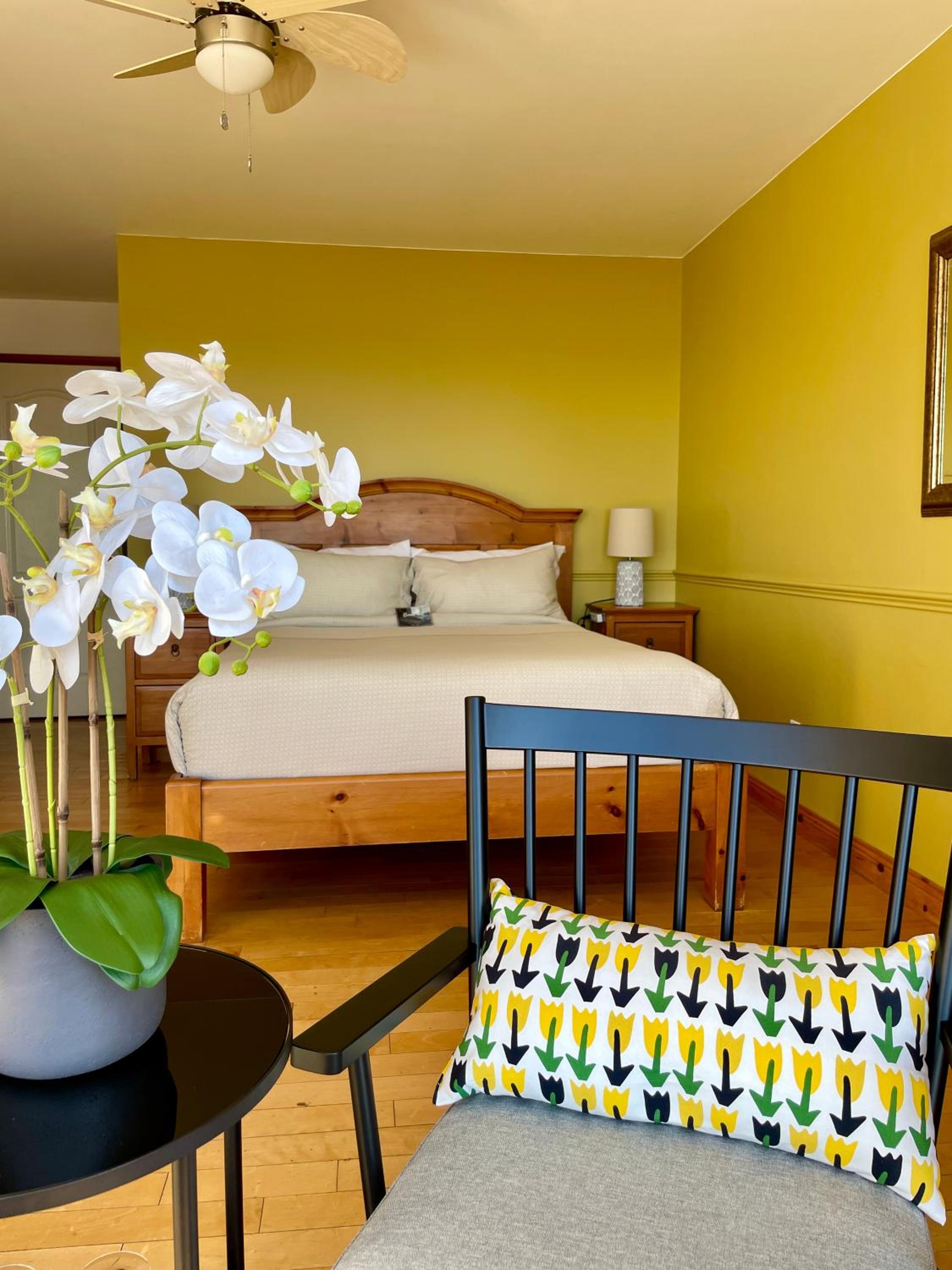 Superior Queen Room