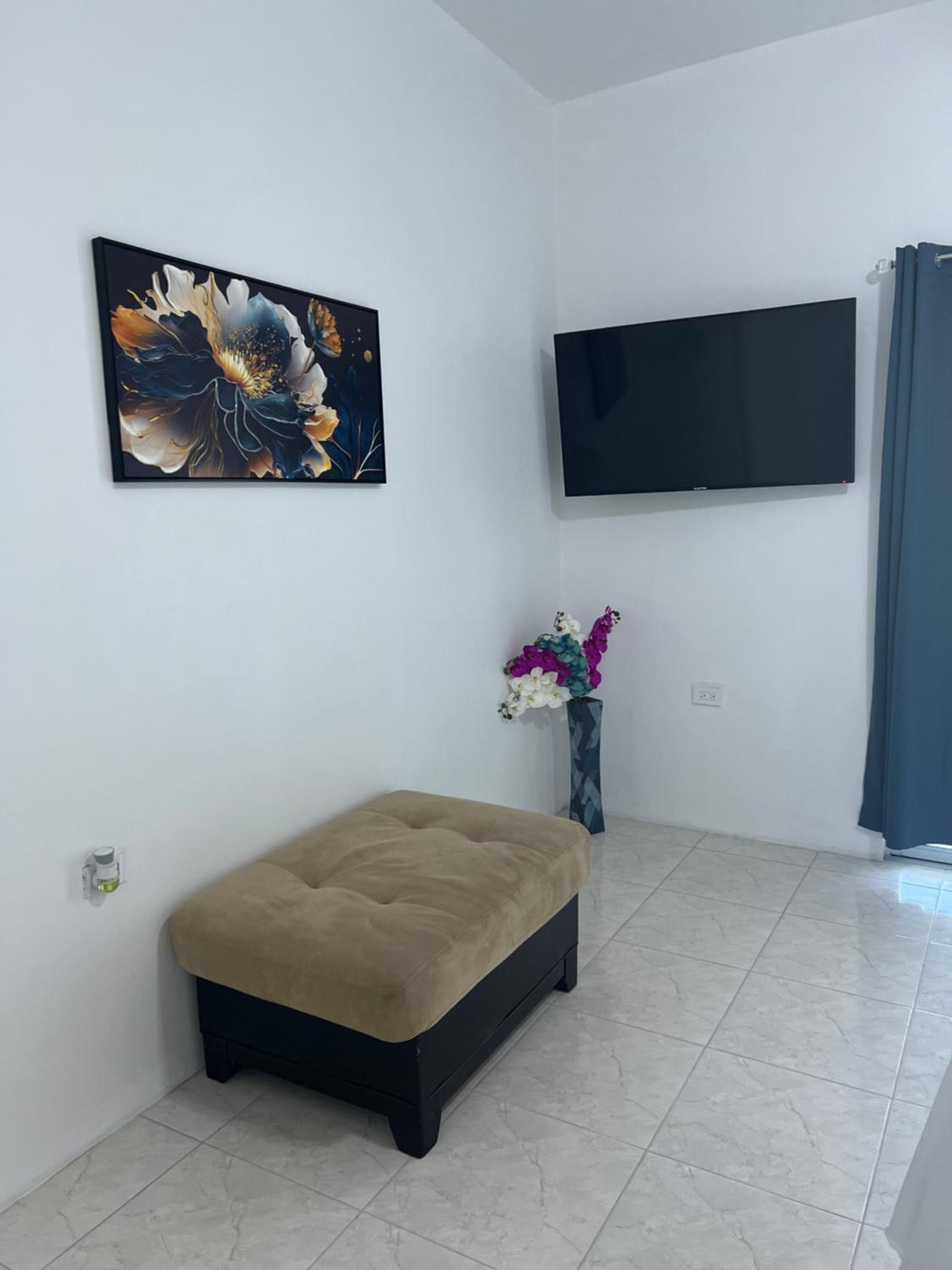 One-Bedroom Apartment photo 3