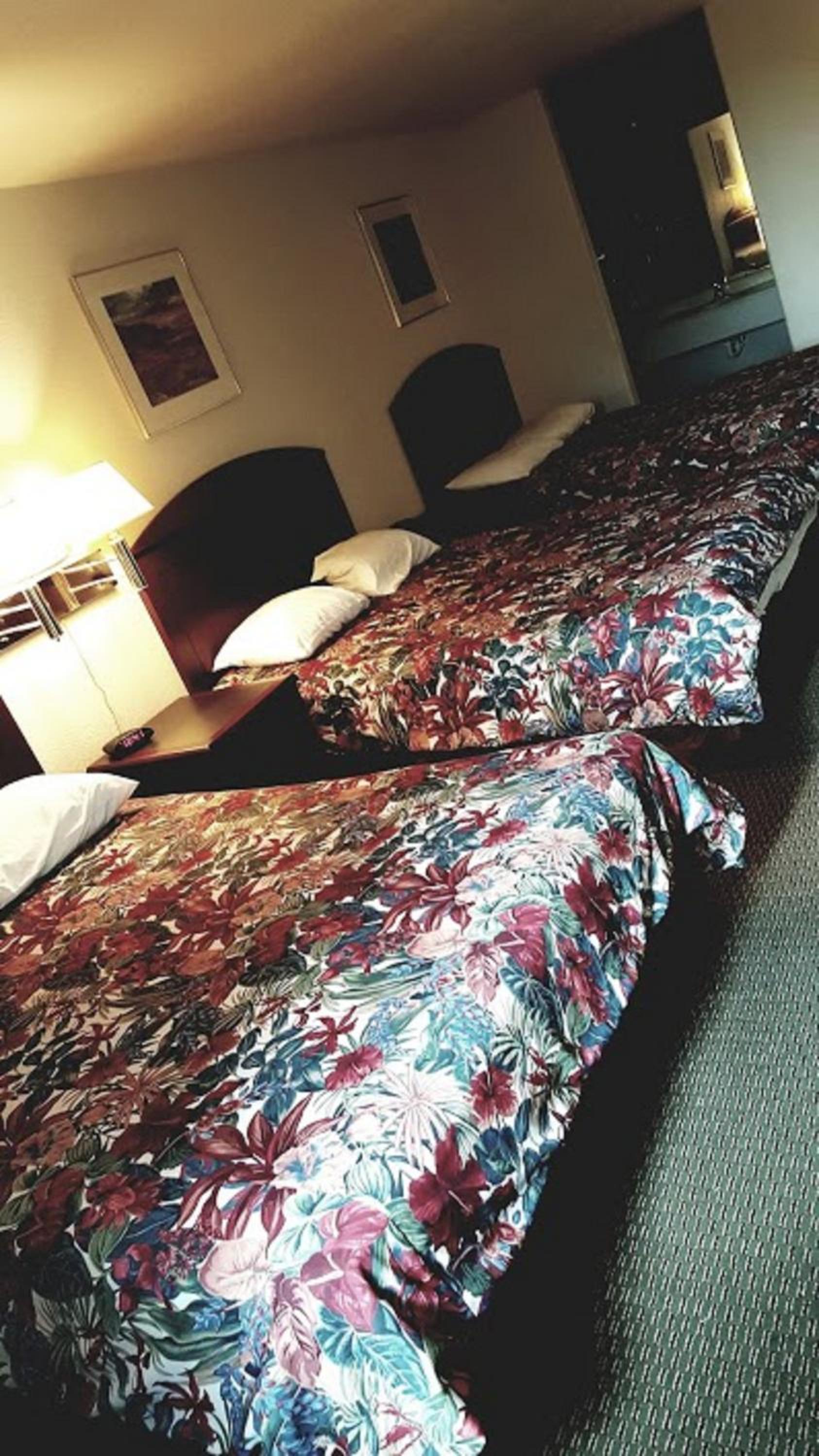 Family Suite photo 1