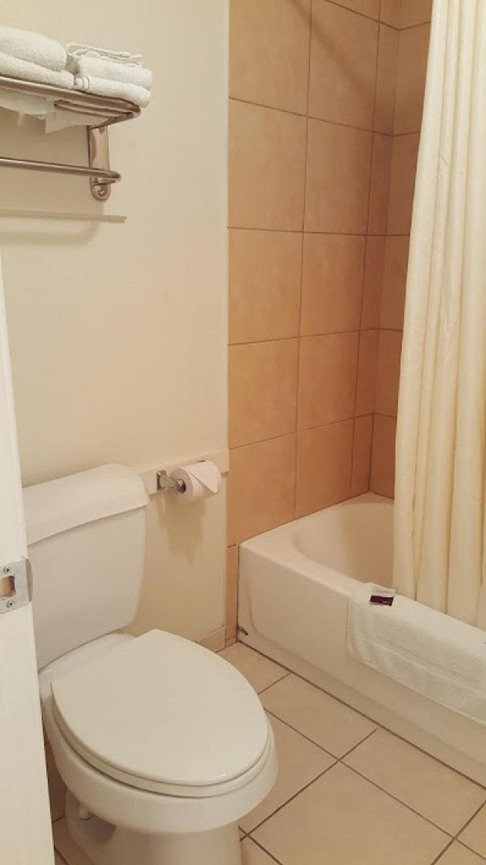 Family Suite photo 2