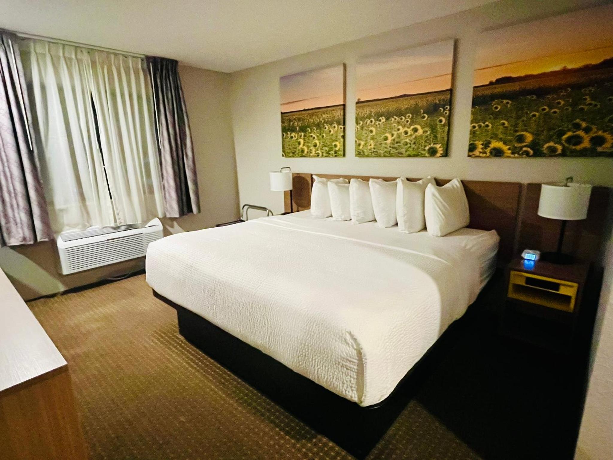 King Room - Non-Smoking - Photo 1