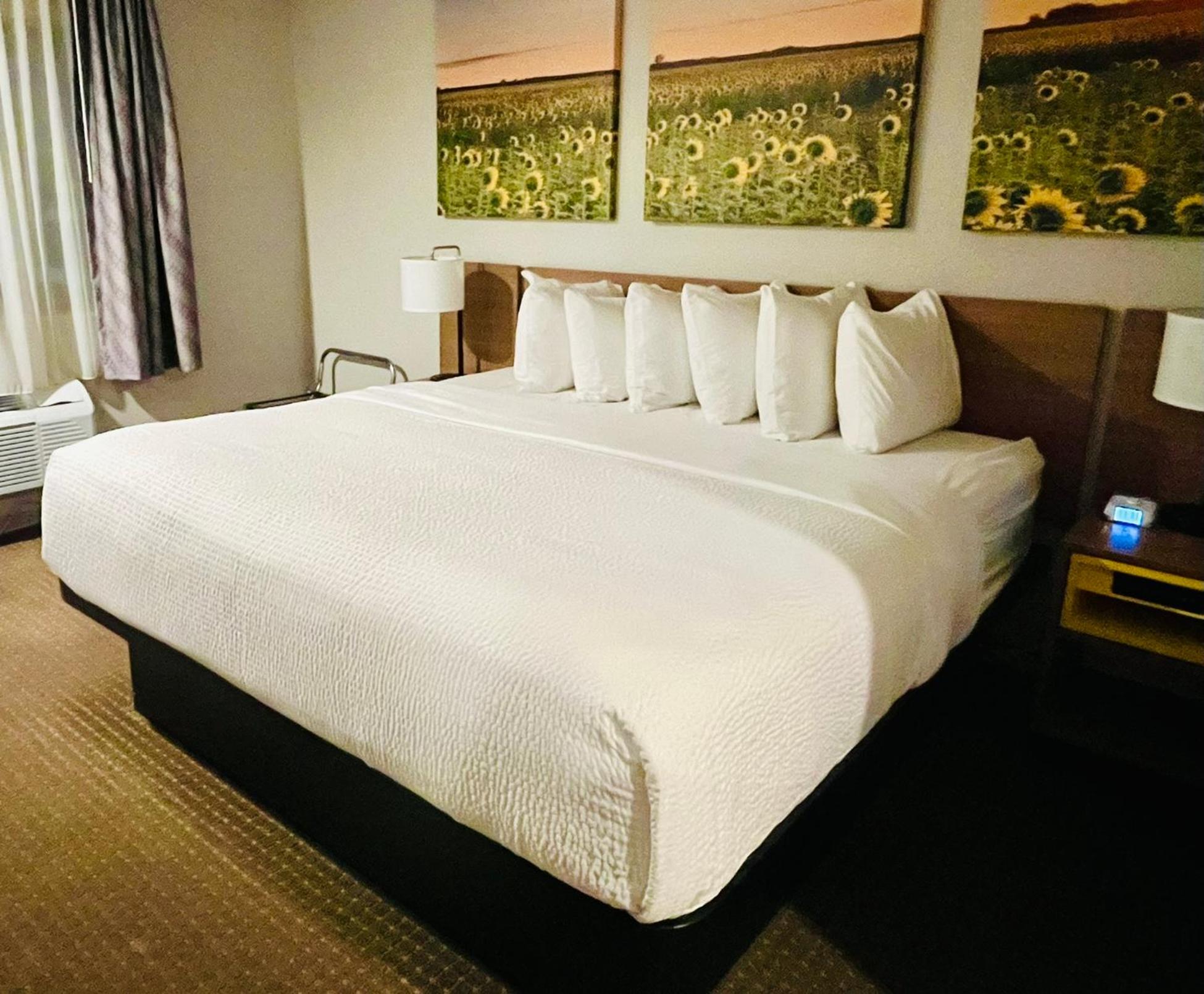 King Room - Non-Smoking - Photo 3