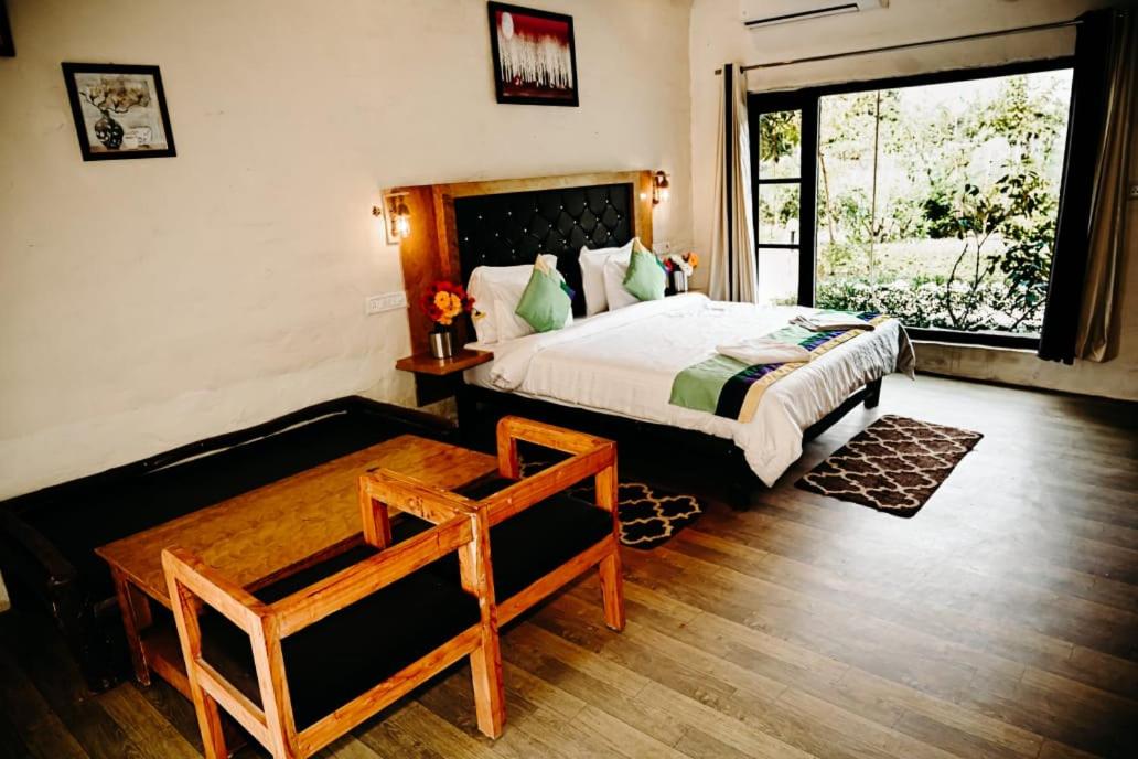 Superior King Room photo 3