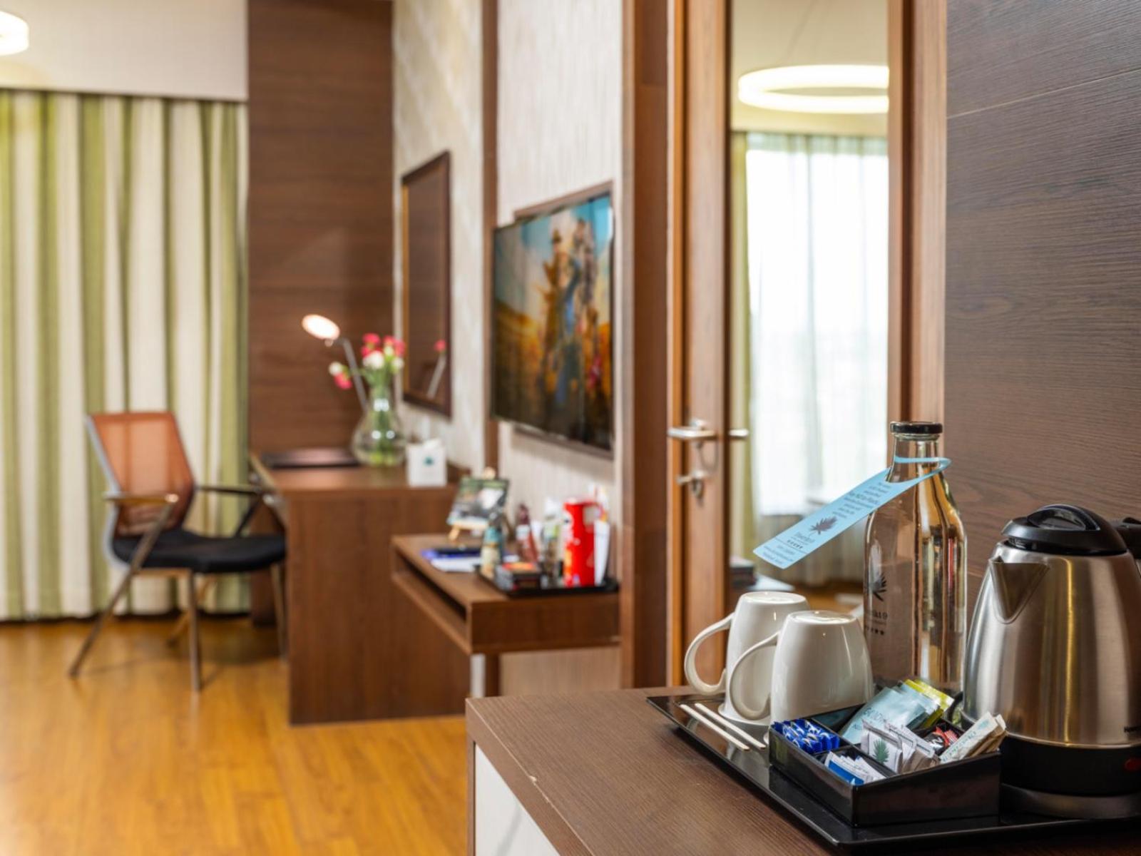  Premium Room - Photo 5
