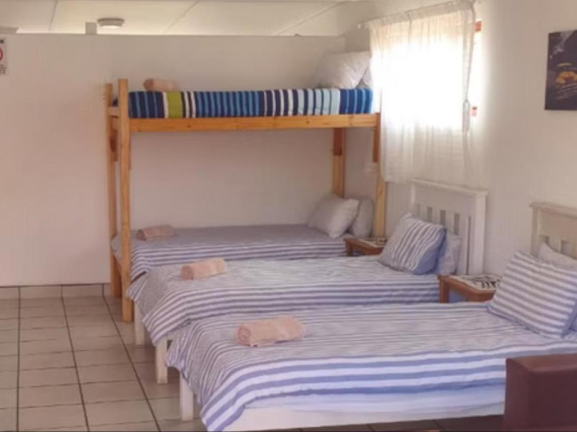 4-Bed Mixed Dormitory Room photo 1