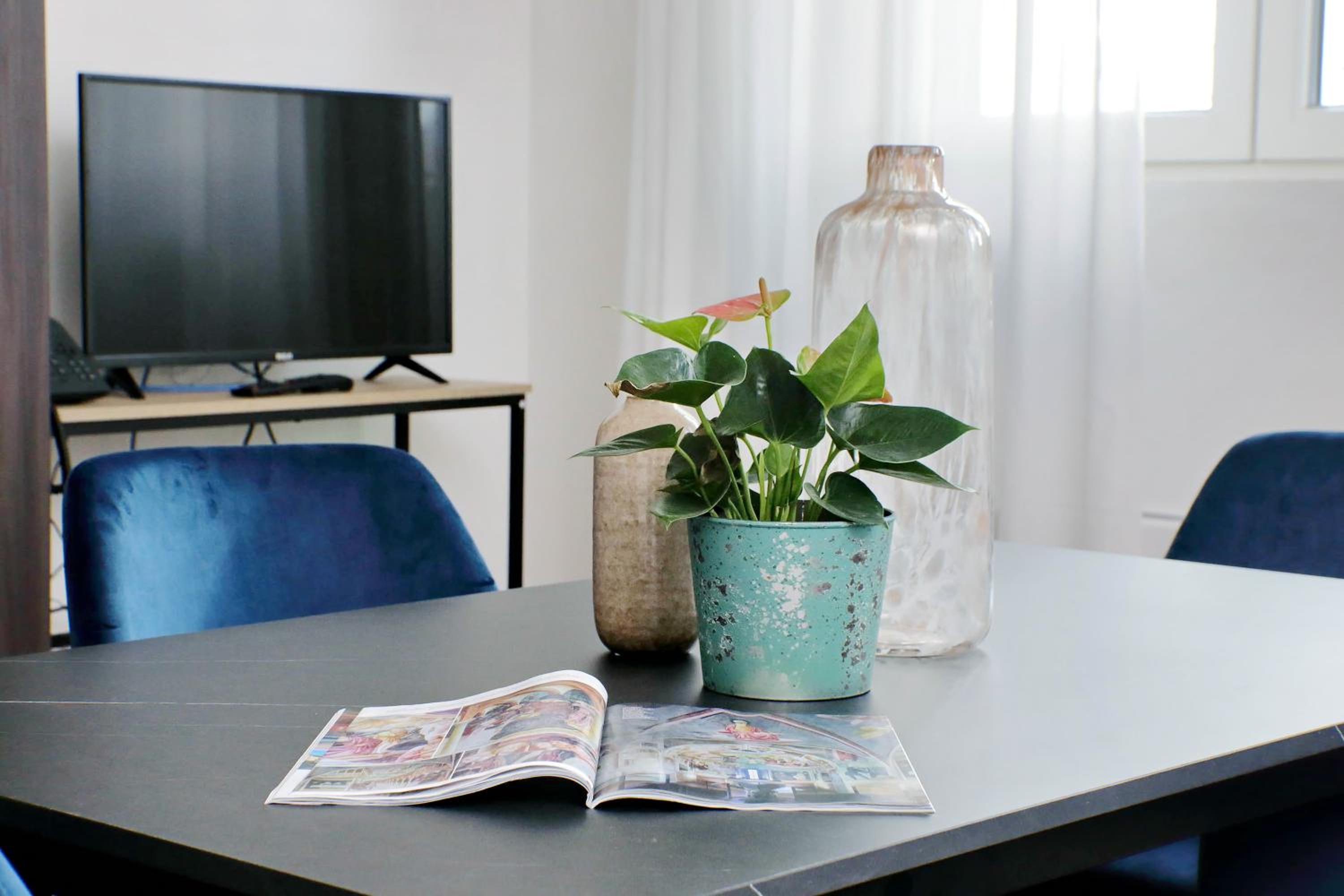 One-Bedroom Standard Apartment