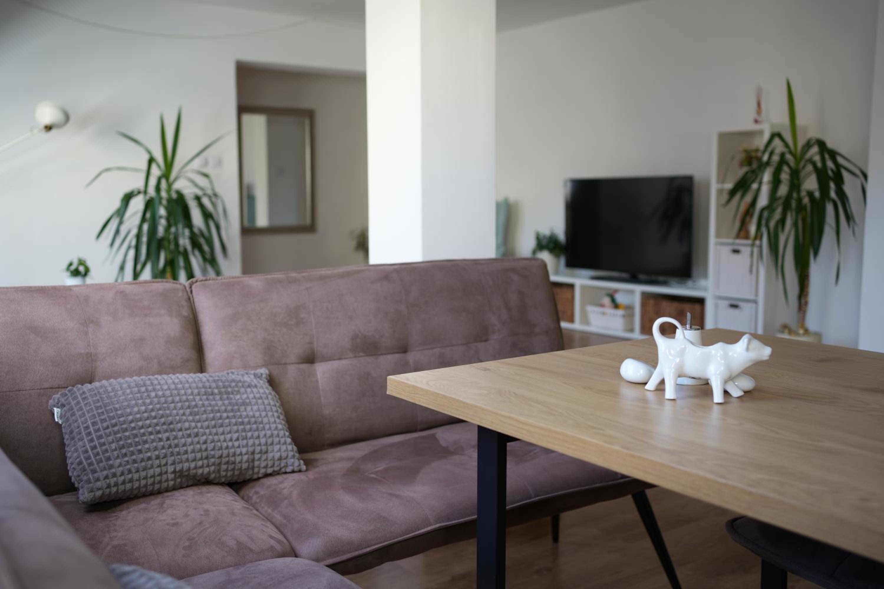 Apartment - Photo 1