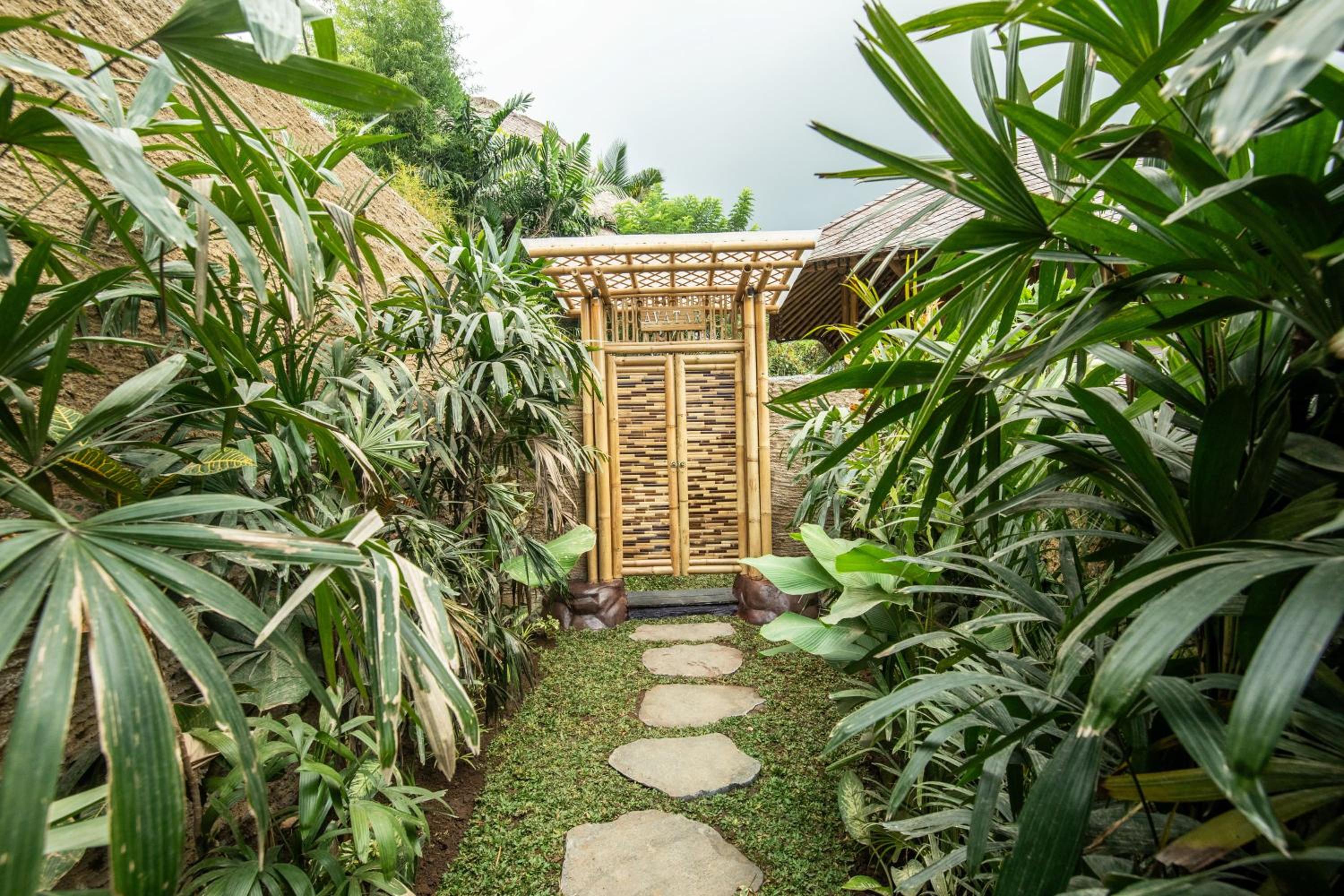Avatar House - Photo 16