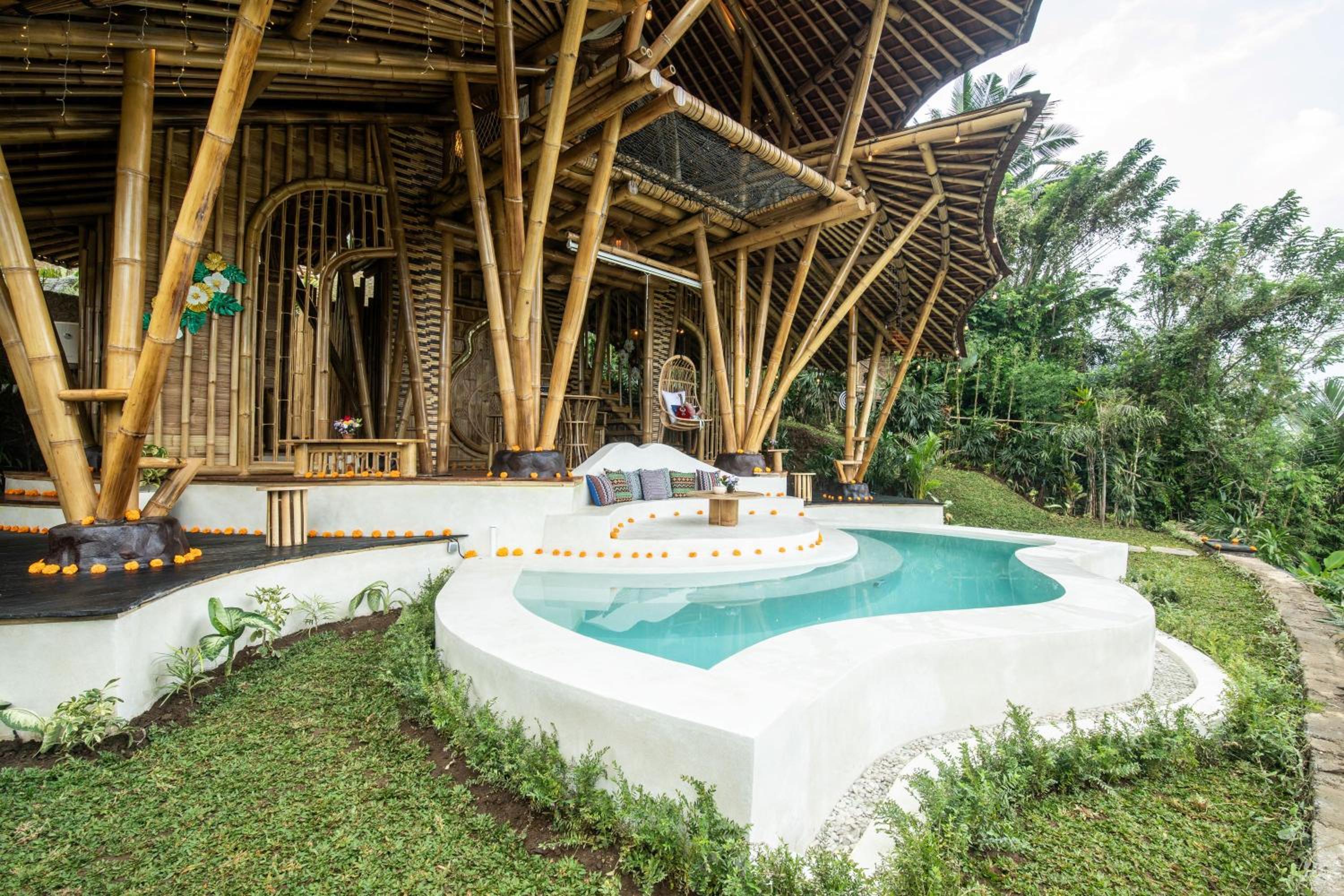 Avatar House - Photo 9