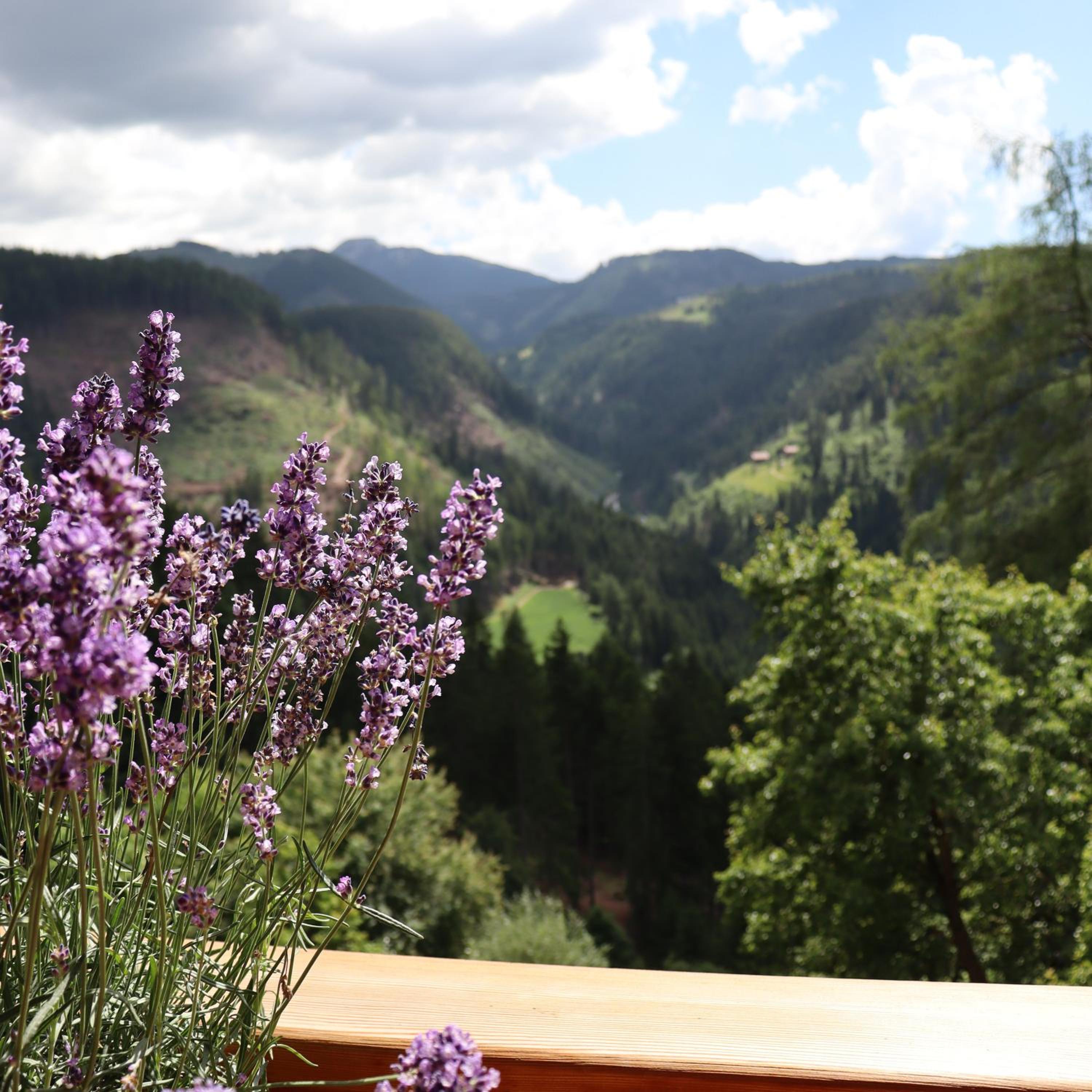 Superior One-Bedroom Apartment with Balcony photo 2