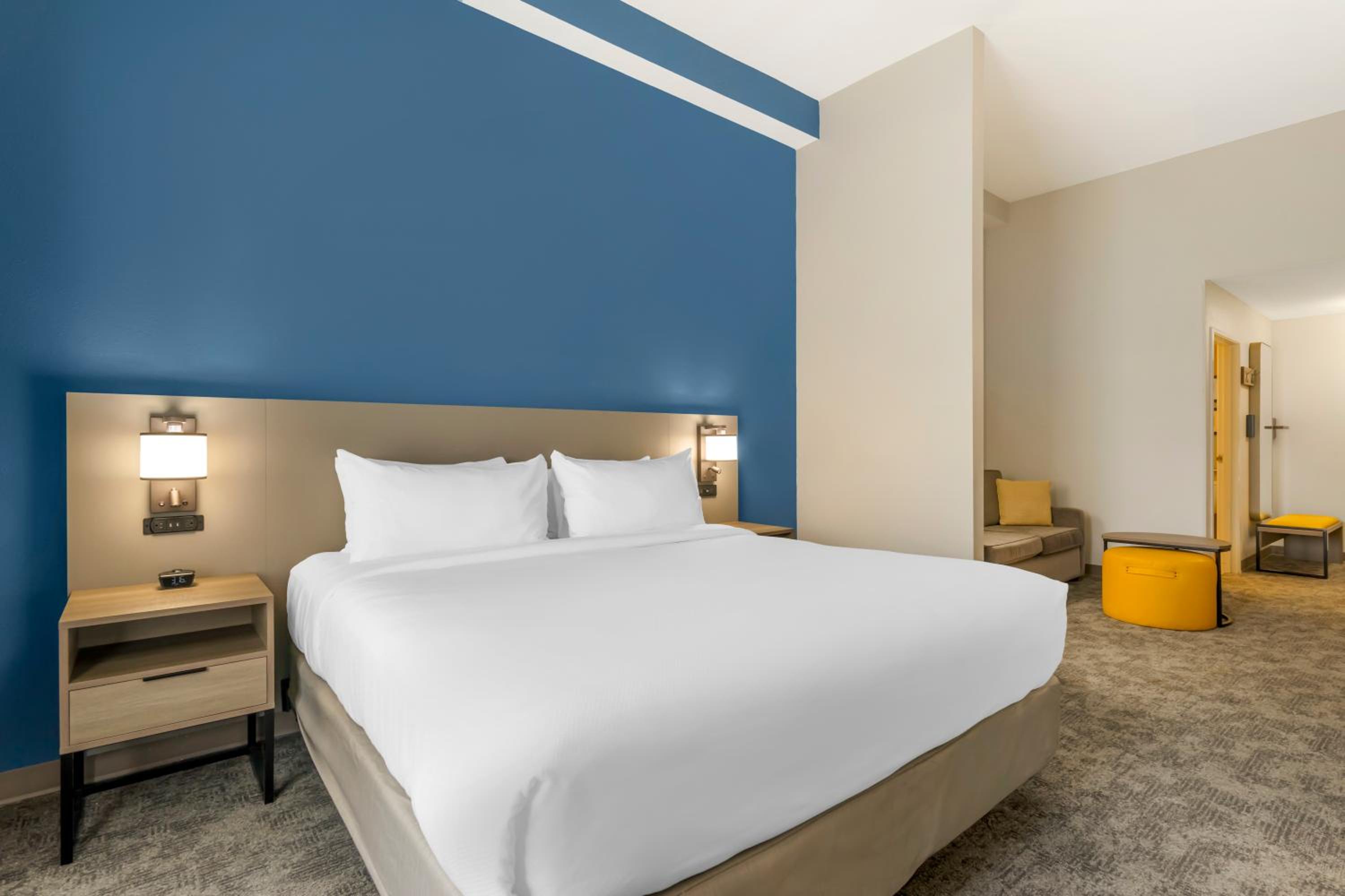 King Suite with Roll-In Shower - Accessible/Non-Smoking photo 3