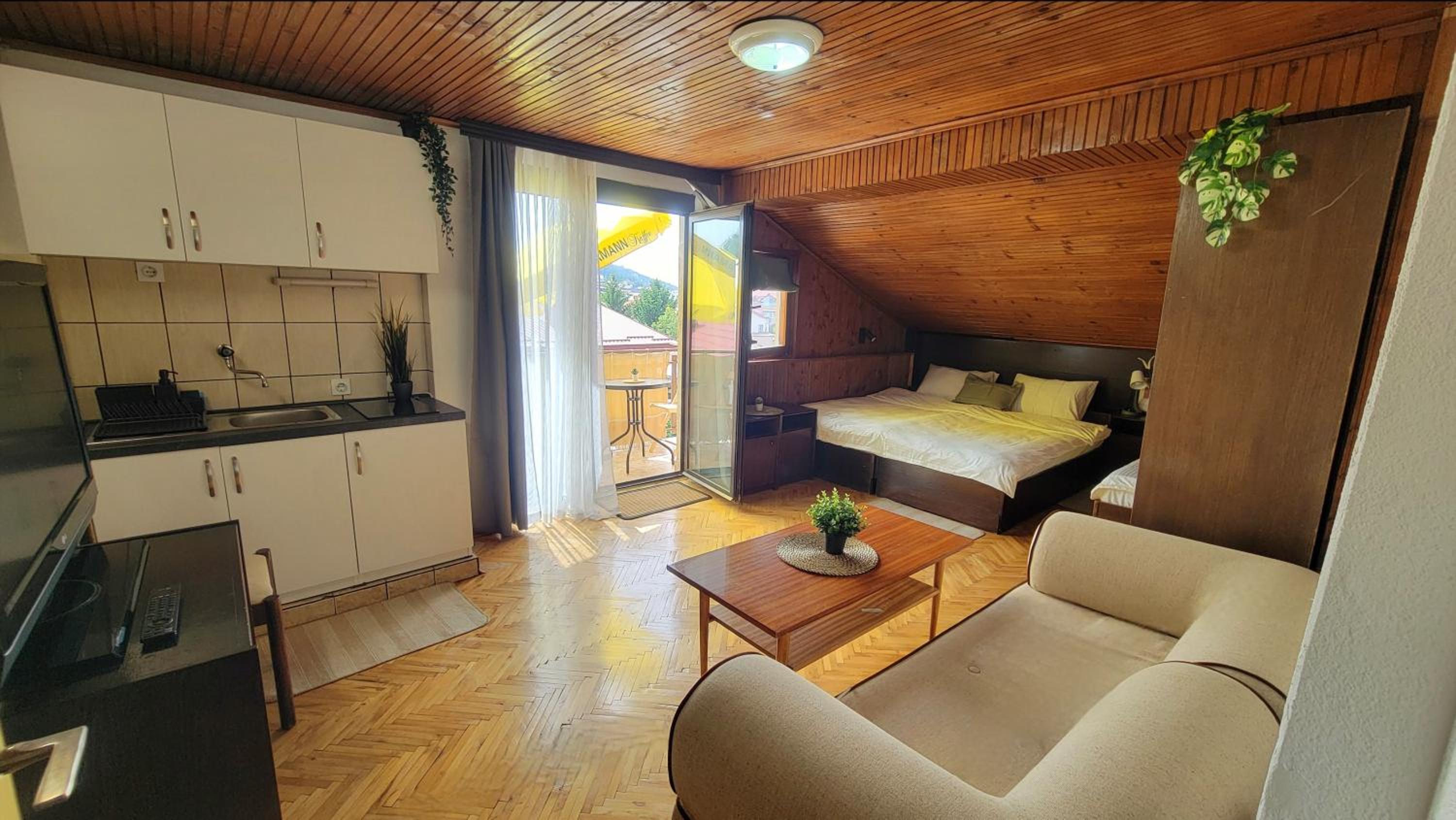 Studio Apartment with Balcony photo 1