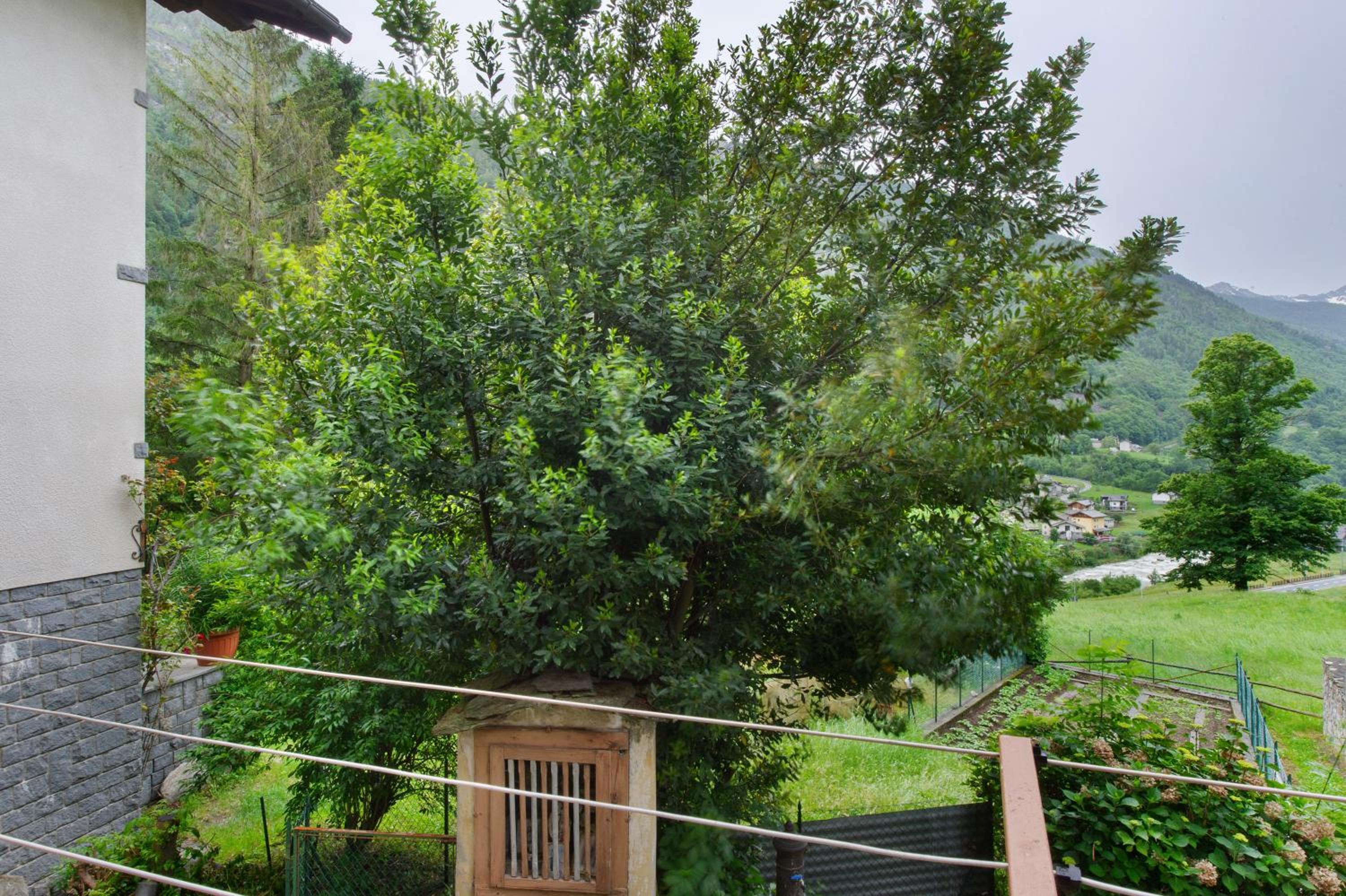 Superior One-Bedroom Apartment with Balcony photo 2