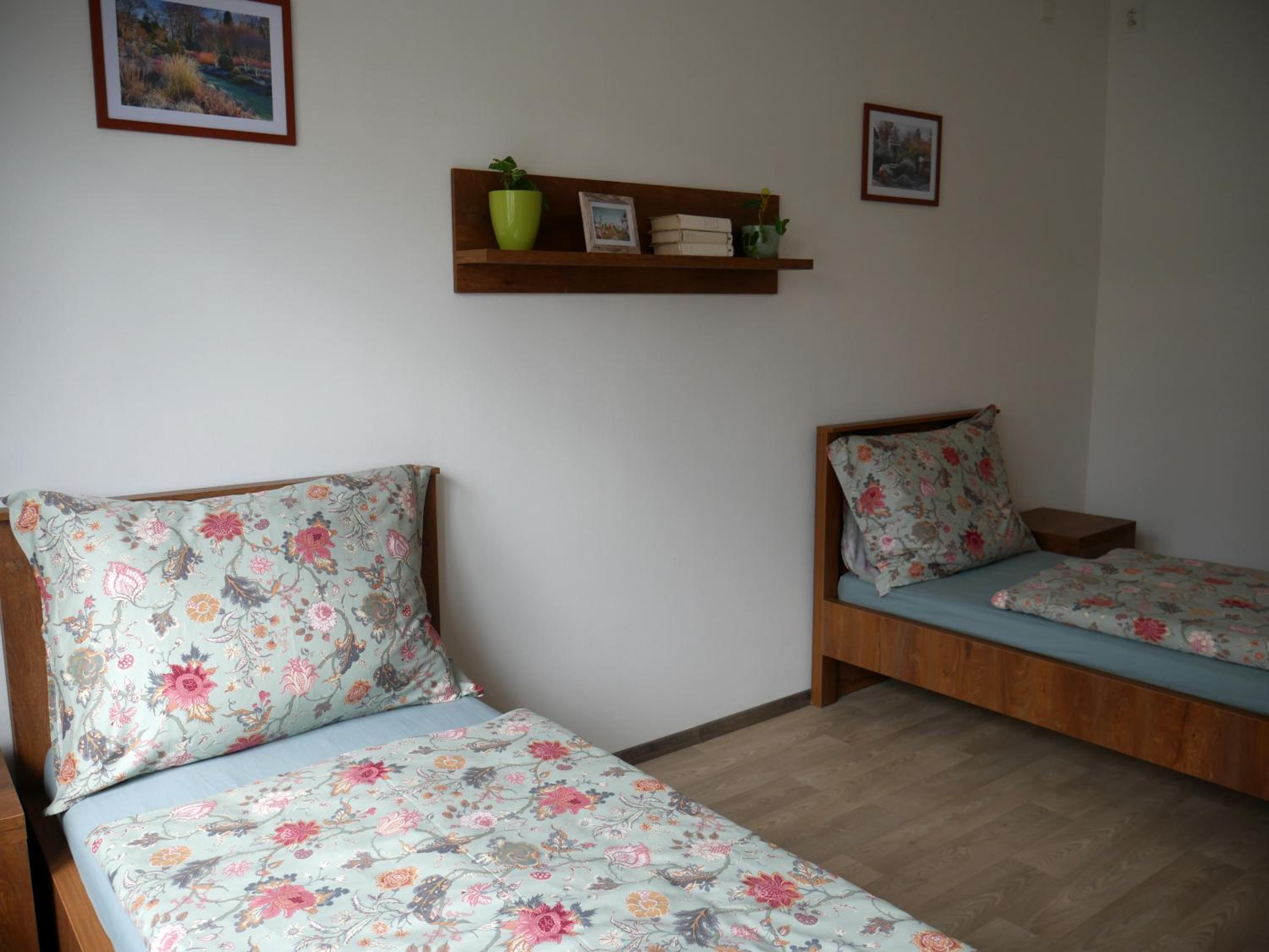 Twin Room photo 3