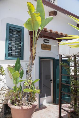 Holiday Home photo 2