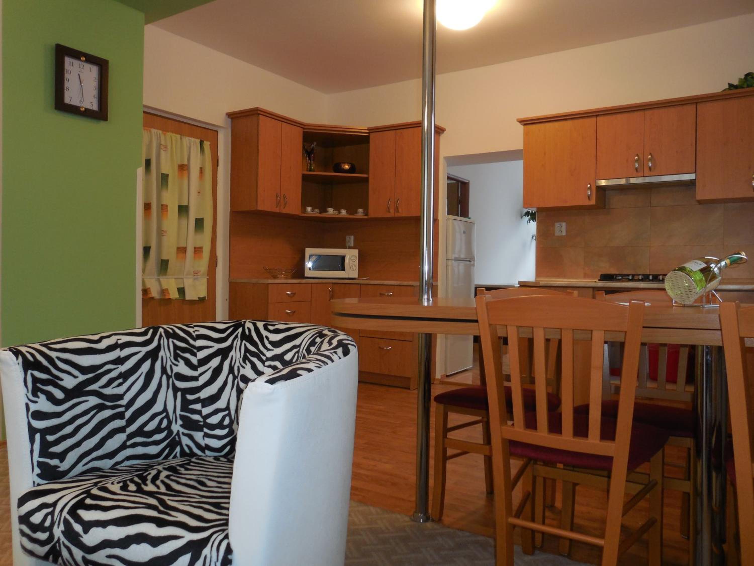Large Apartment photo 1