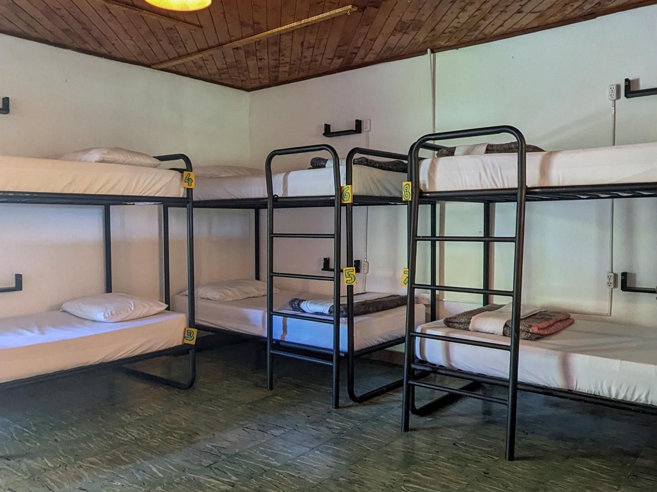 Bed In 8-Bed Dormitory Room photo 1