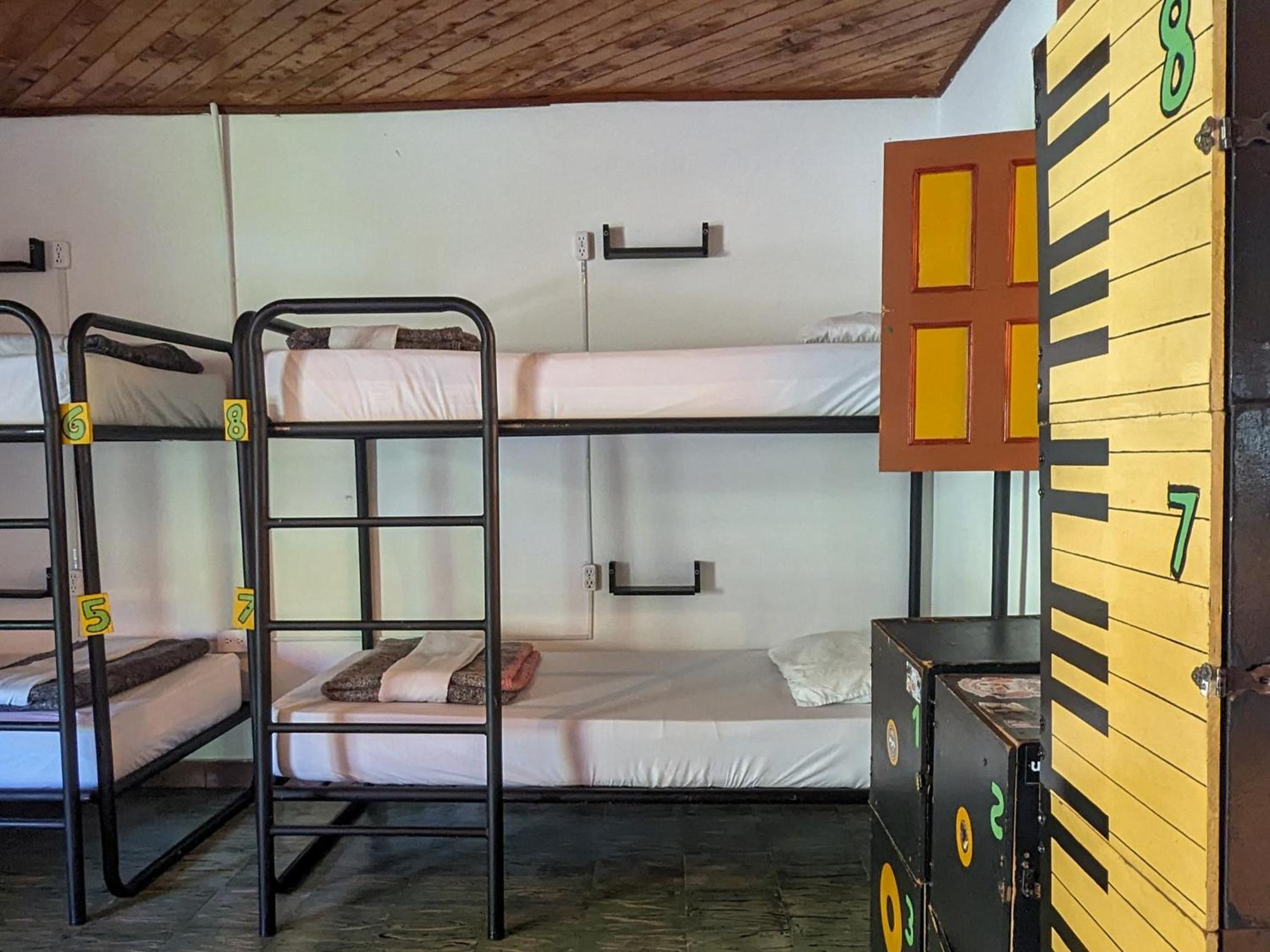 Bed In 8-Bed Dormitory Room photo 2
