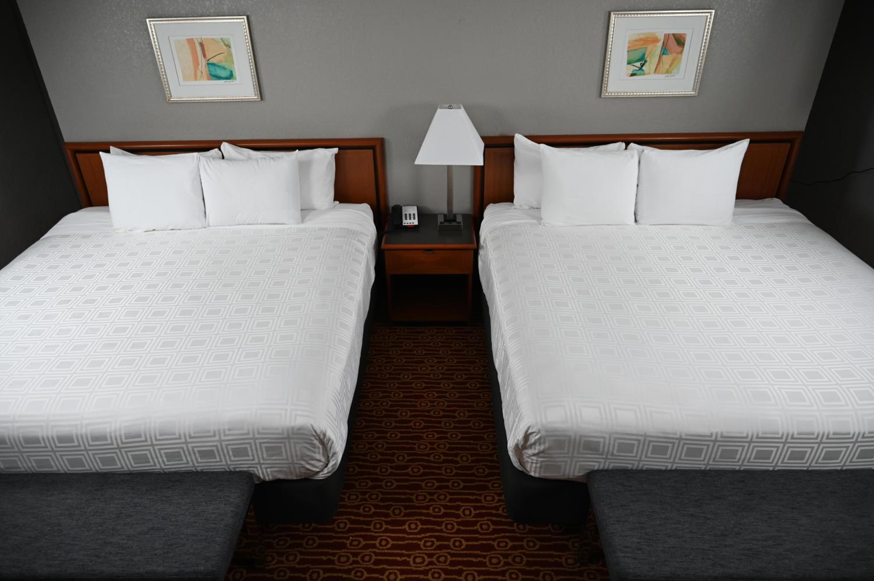 Deluxe King Suite photo 1