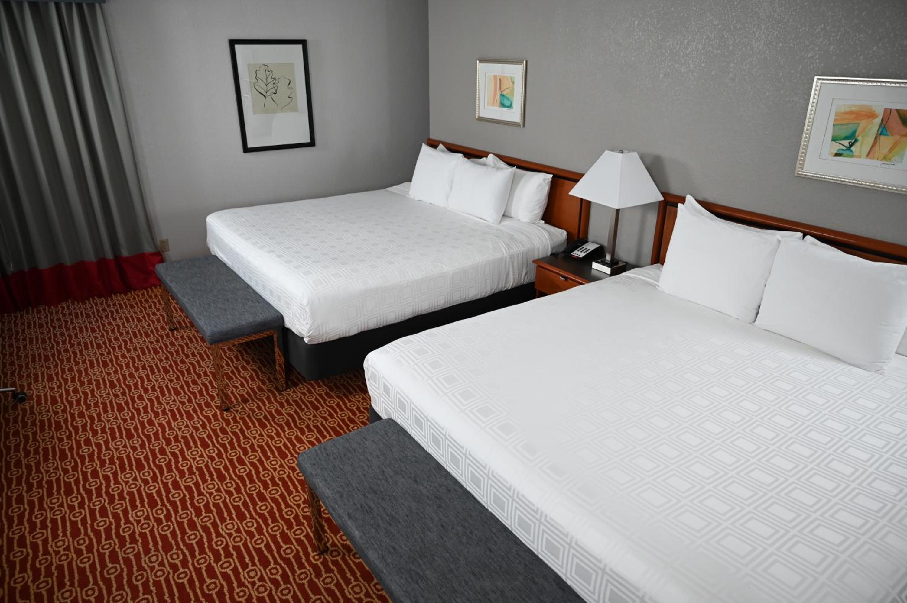 Deluxe King Suite photo 2