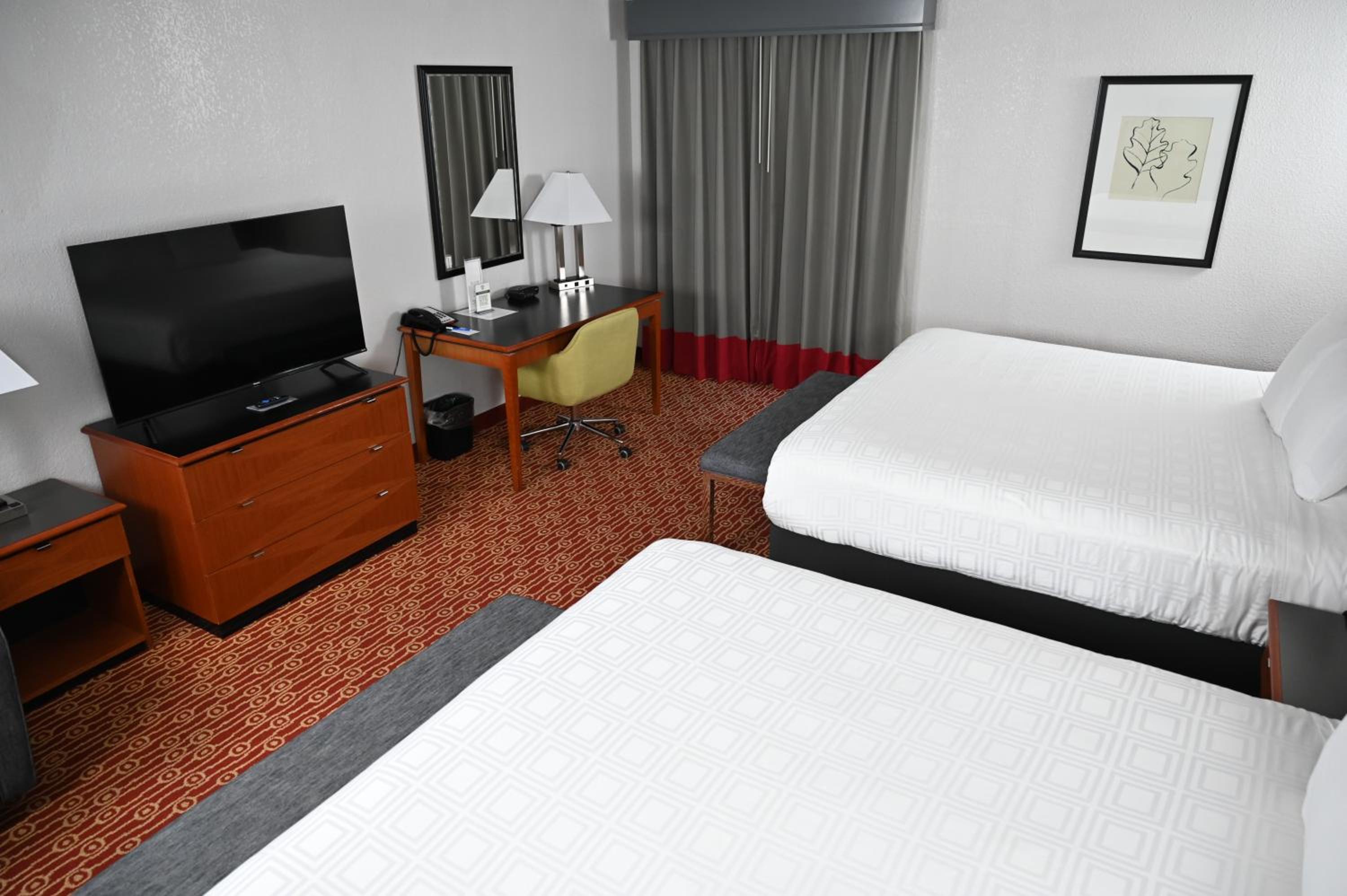 Deluxe King Suite photo 3