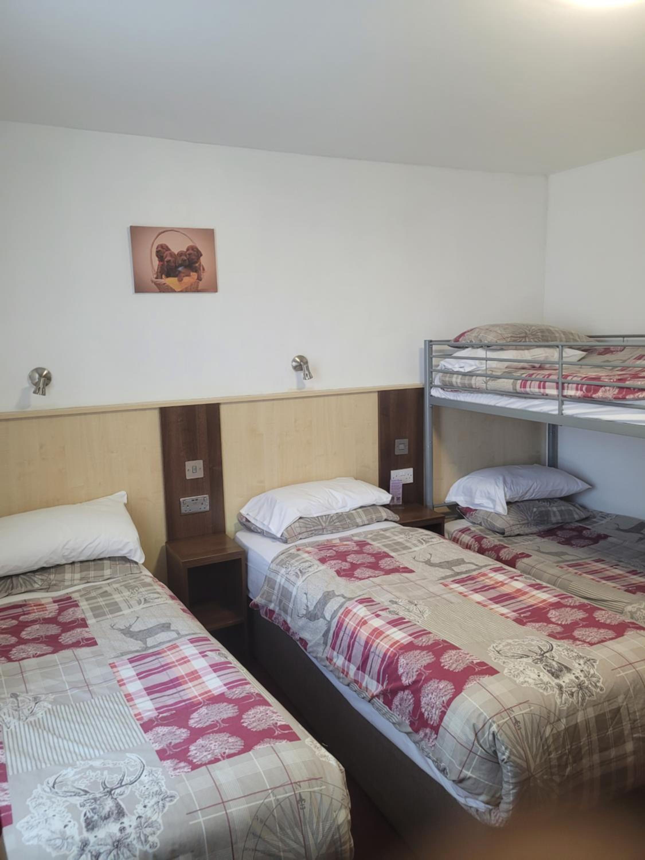 Family En-Suite Room - Photo 9
