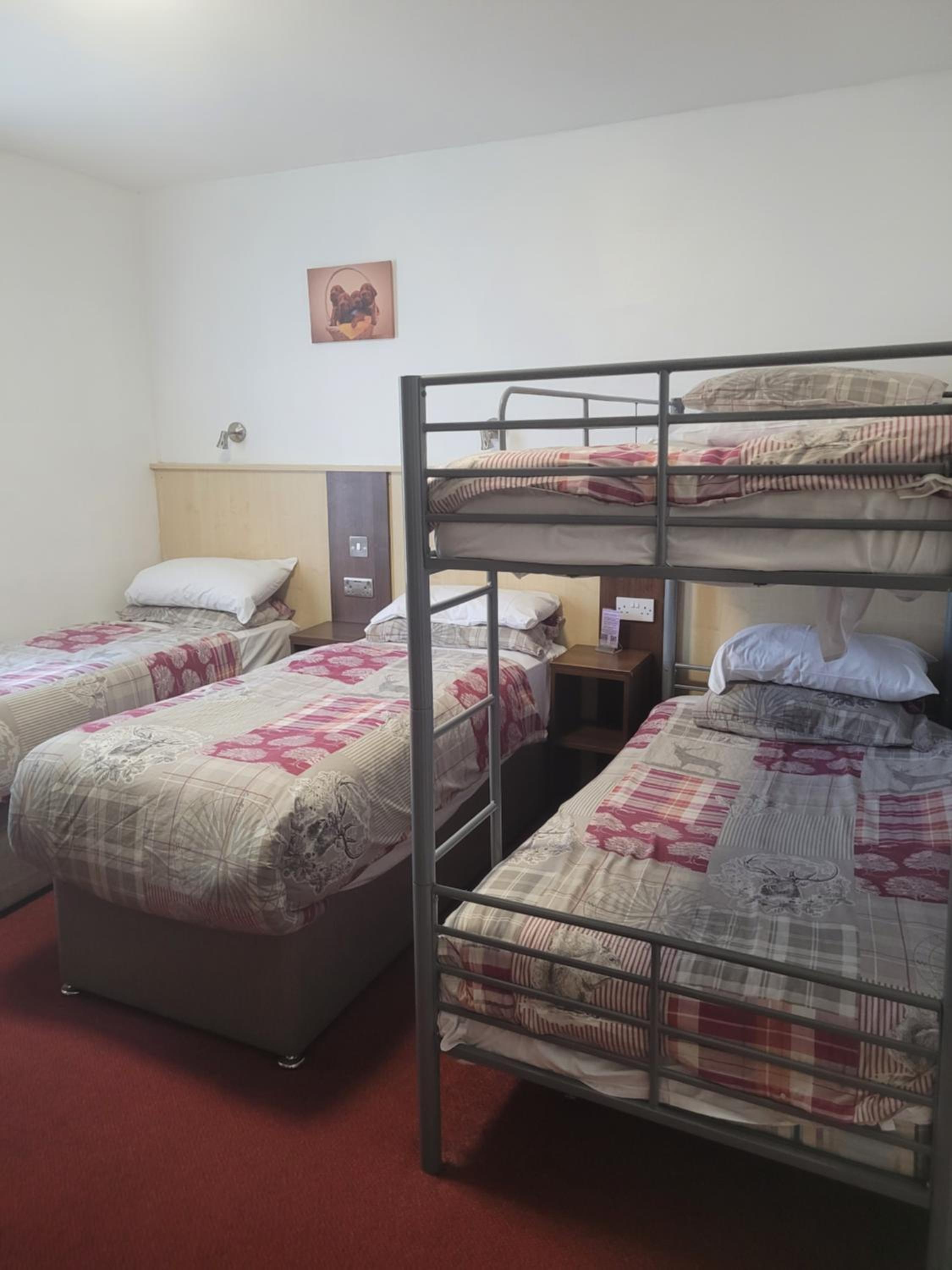 Family En-Suite Room - Photo 8