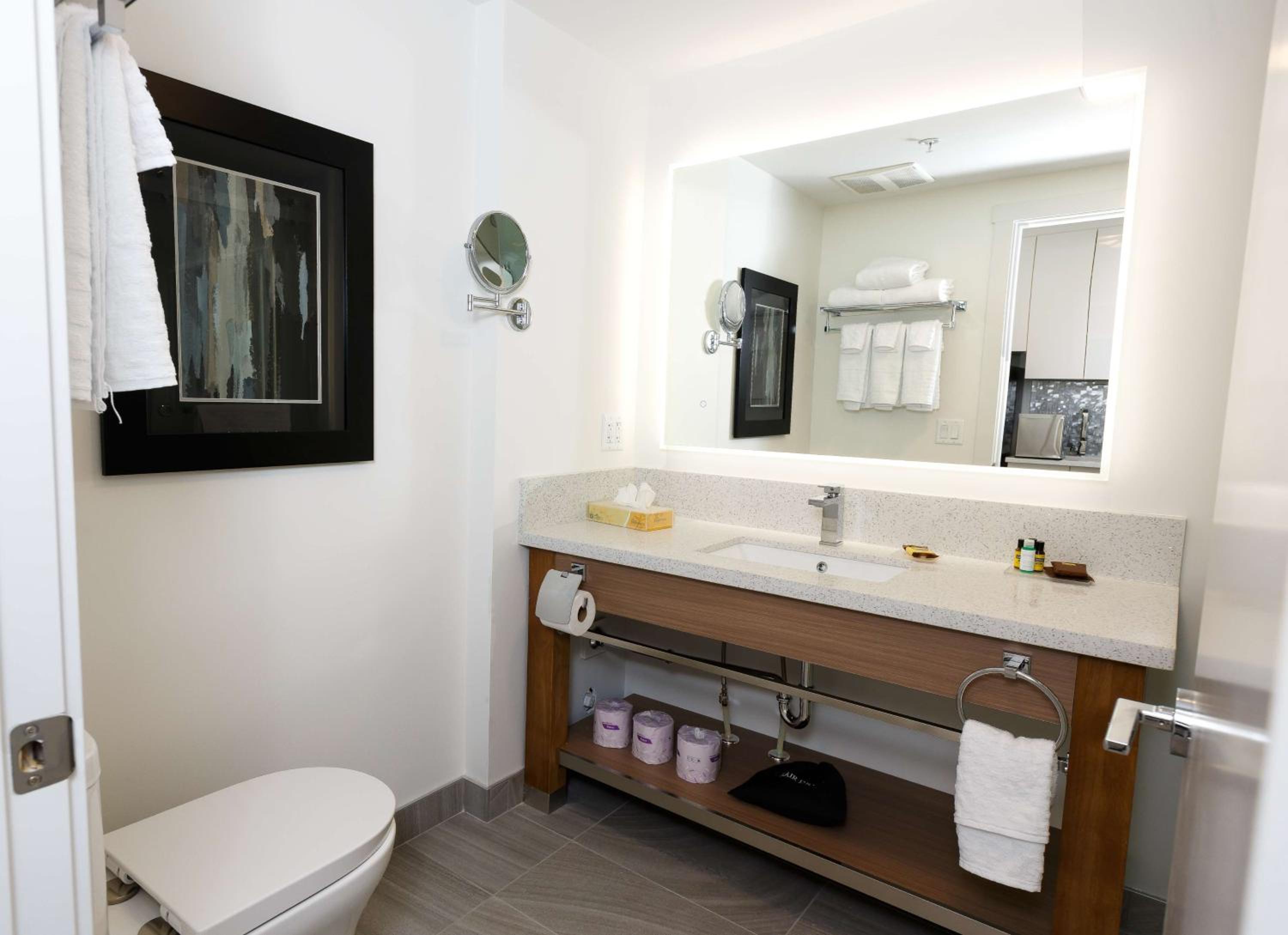 King Suite with Sofa Bed - Non-Smoking - Photo 3