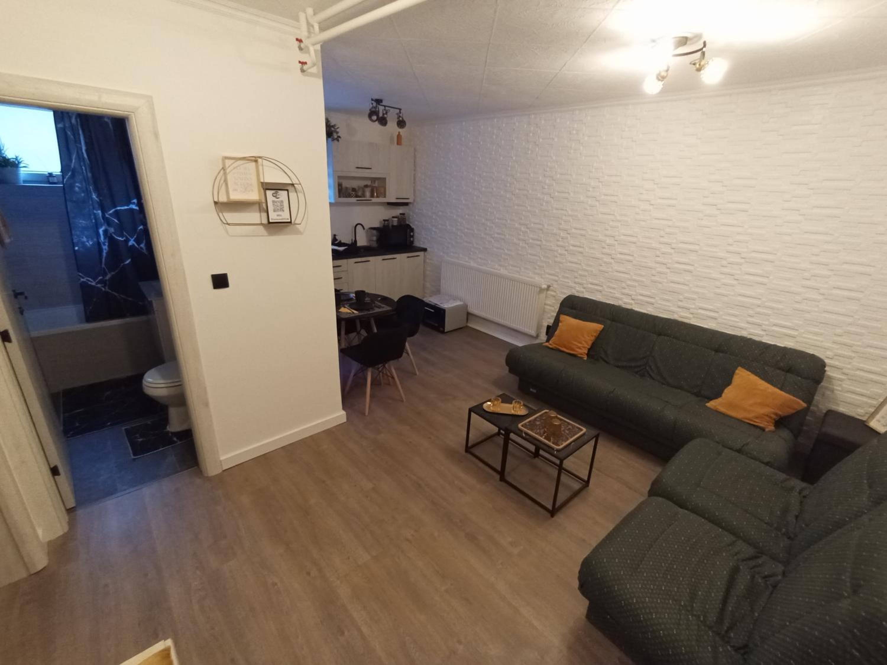 One-Bedroom Apartment photo 3