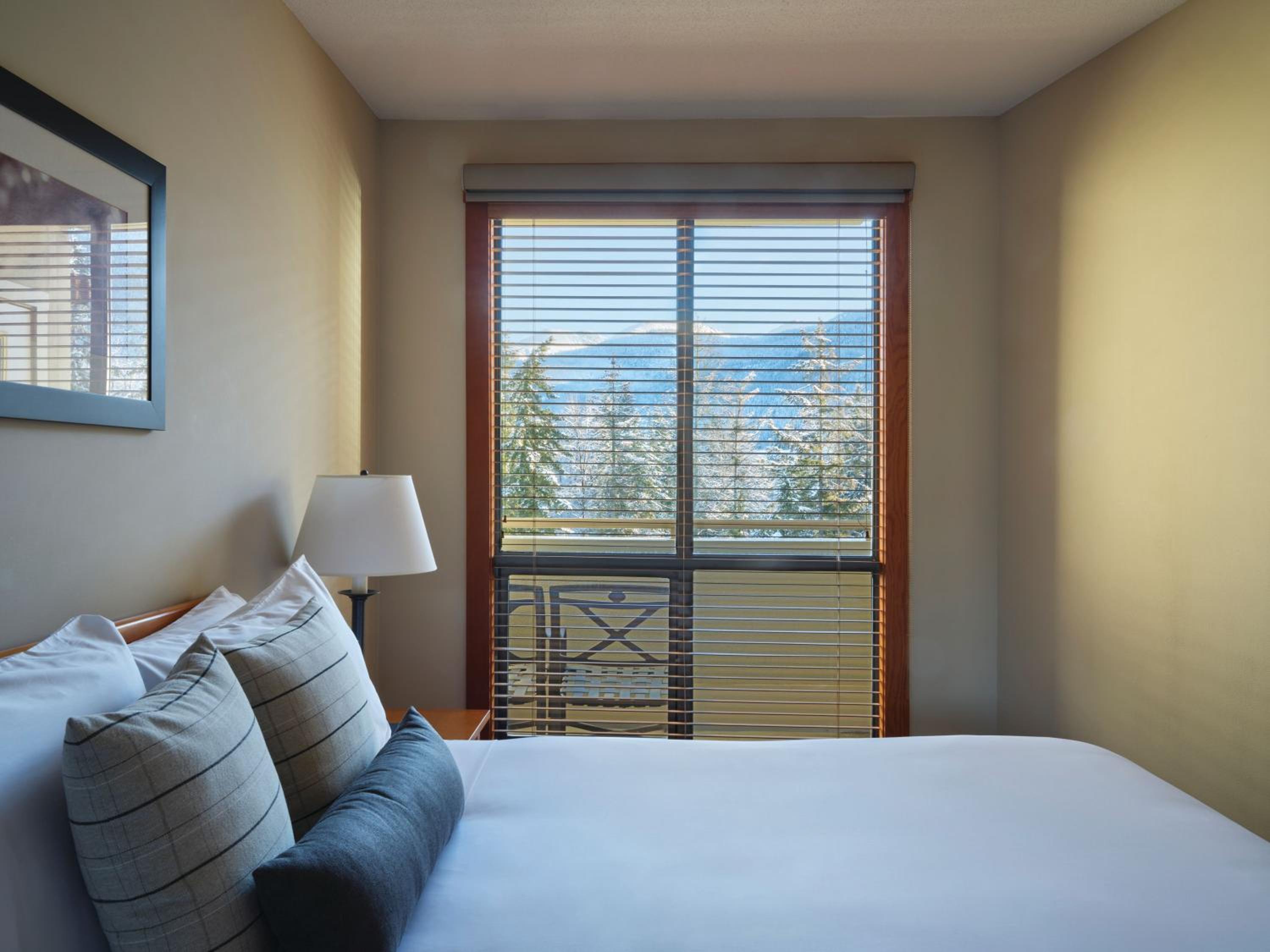 One Bedroom Lower Floor Suite - Photo 4