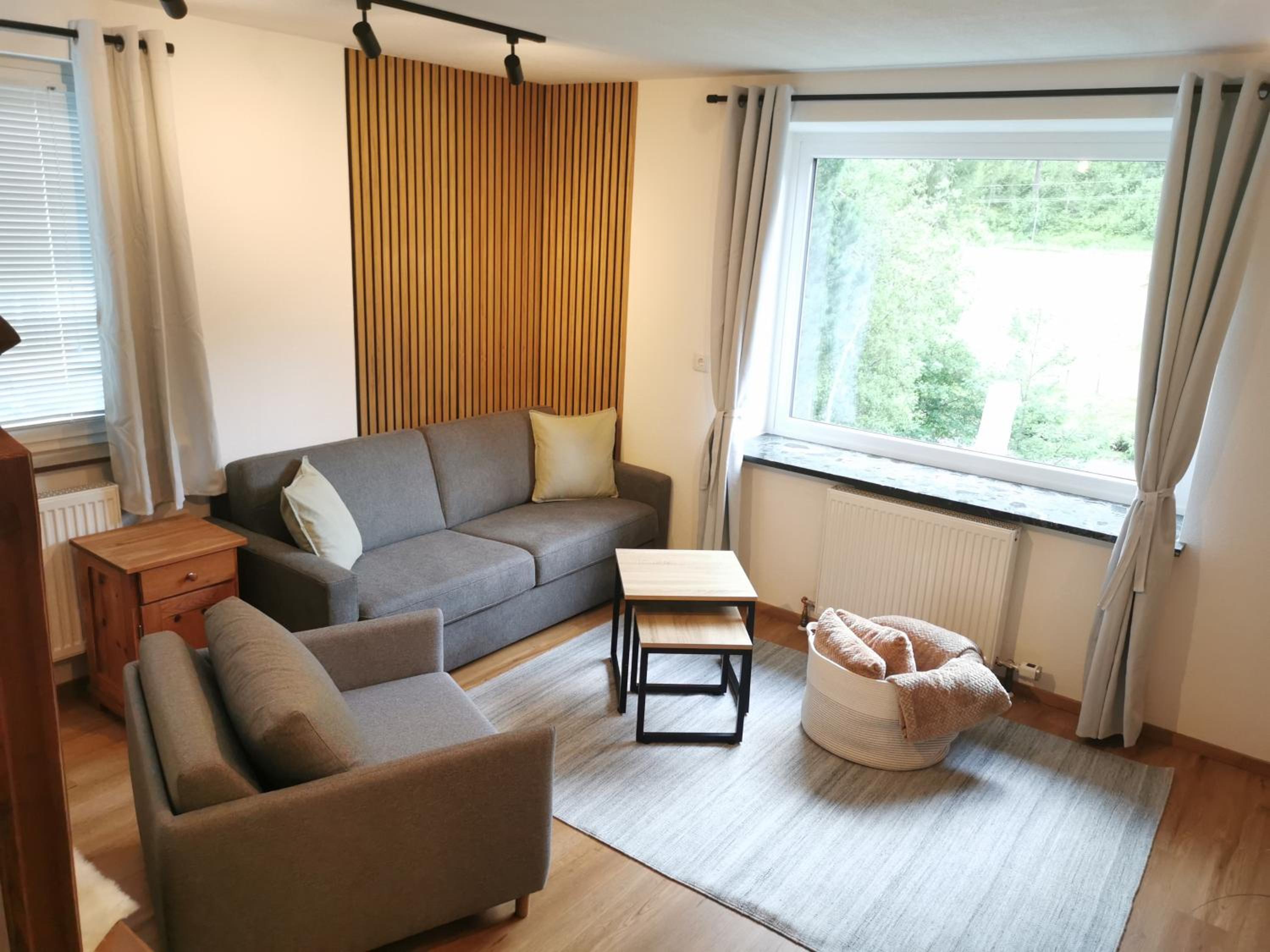 Deluxe Apartment