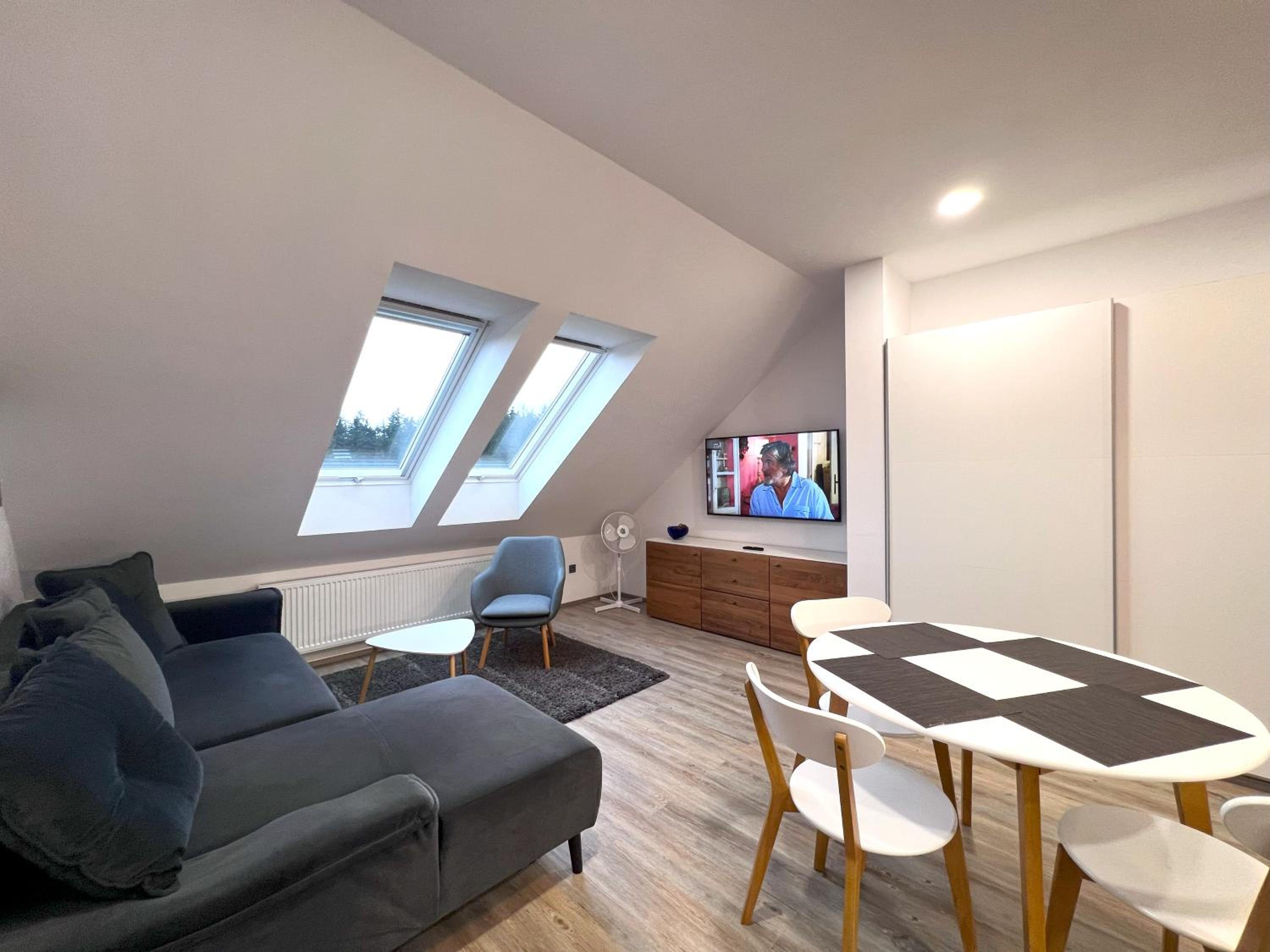 Three-Bedroom Apartment with Sauna