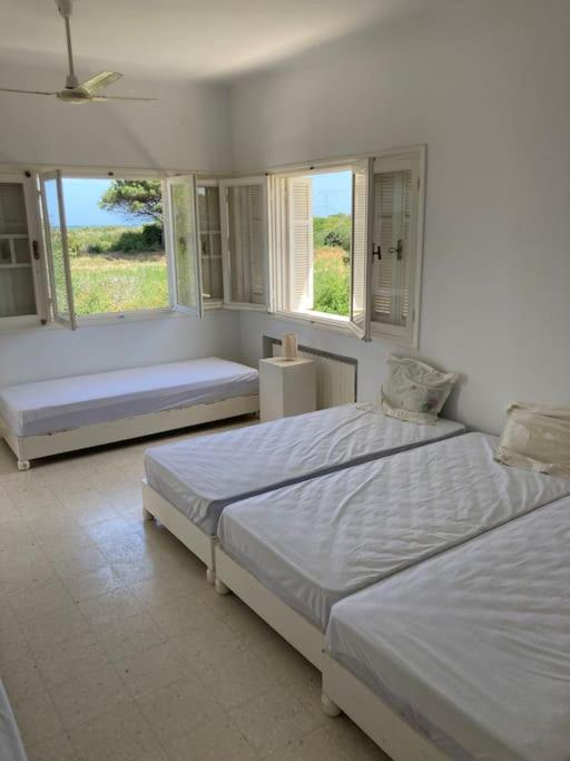 Six-Bedroom House photo 1