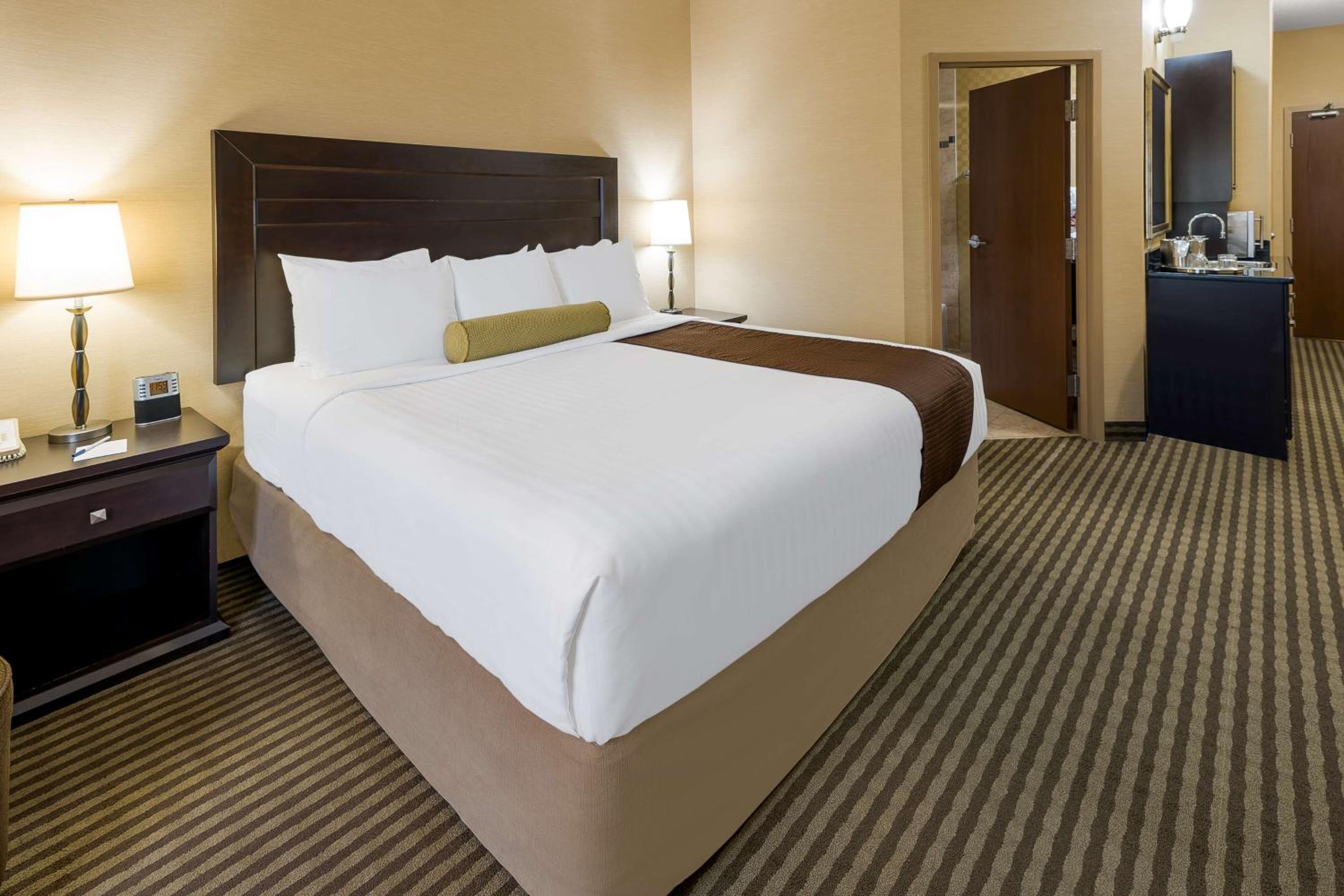 King Room - Pet Friendly/Non-Smoking
