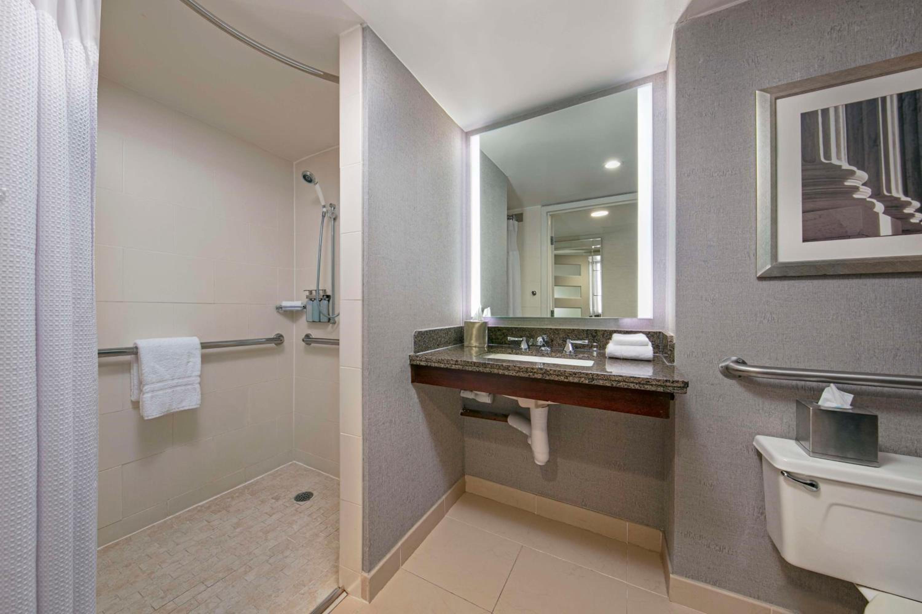 Deluxe Queen Room with Roll-in Shower - Mobility/Hearing Accessible - Photo 4