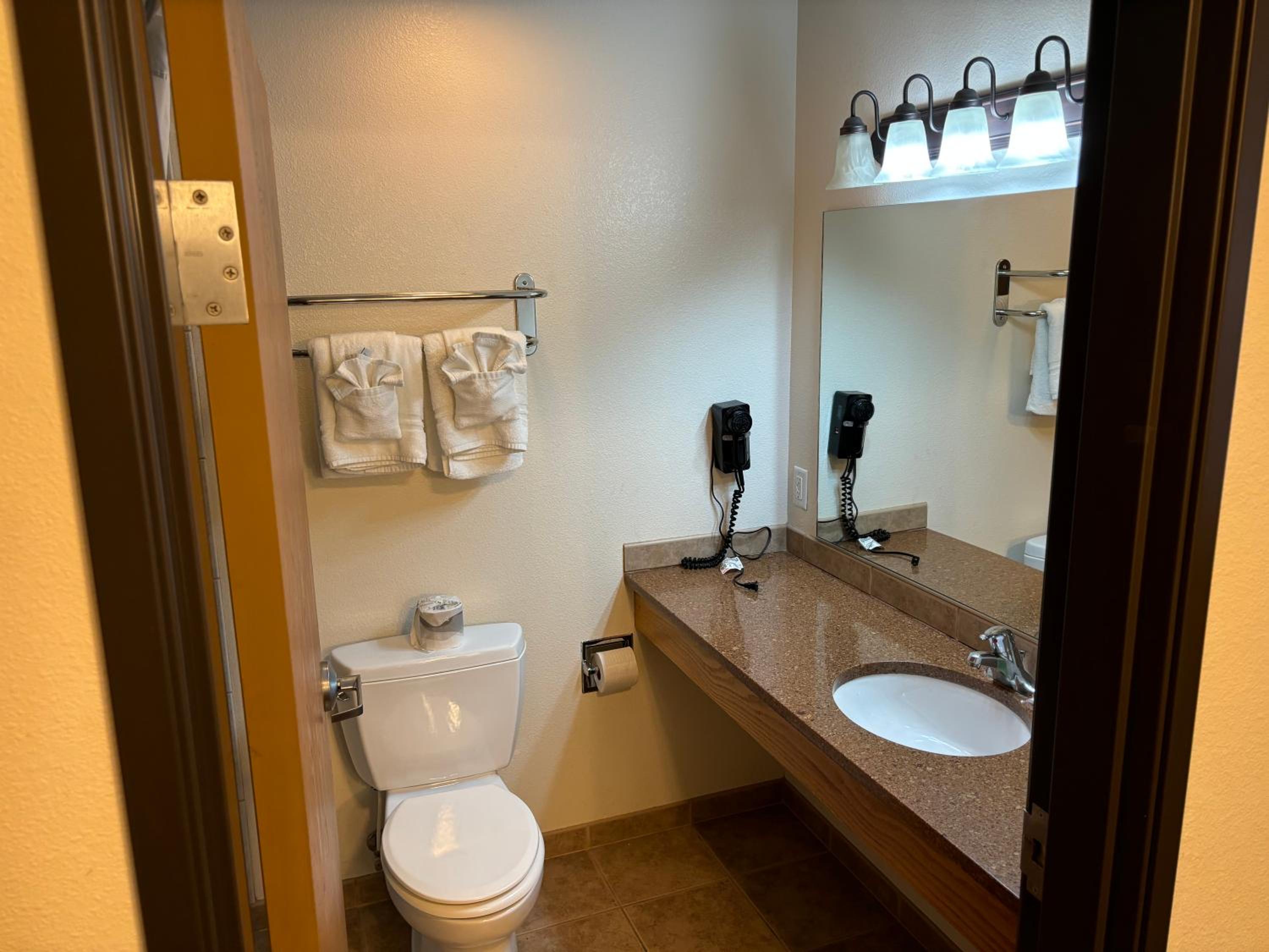 Deluxe King Studio Suite - Non-Smoking photo 3